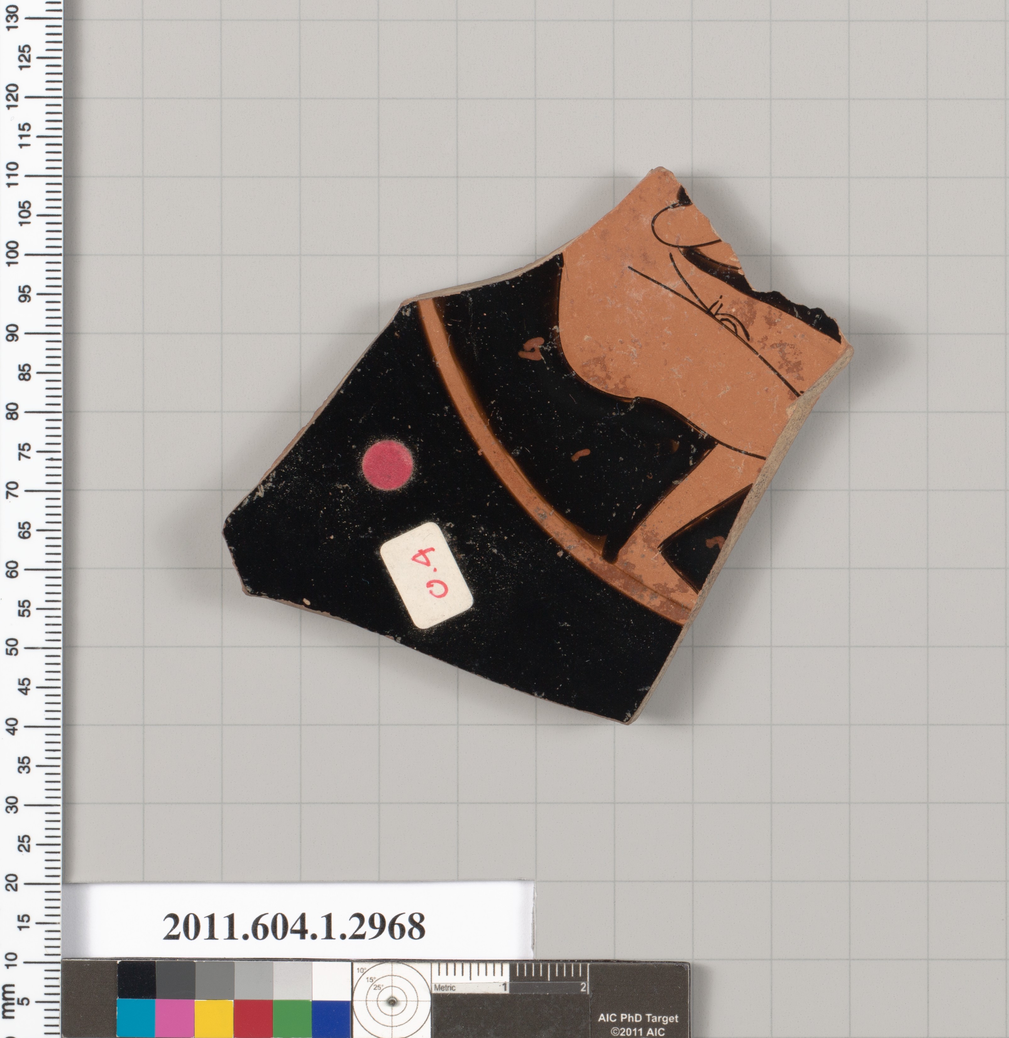 Ancient Pottery Fragment