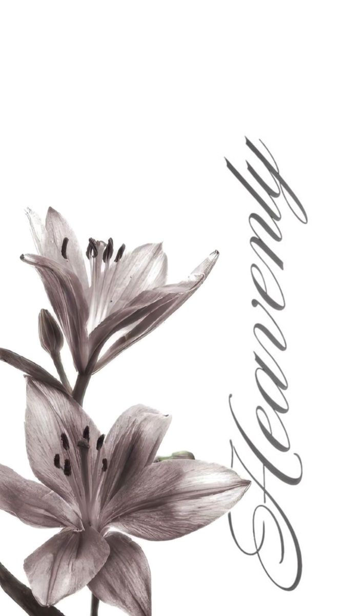 Wallpapers