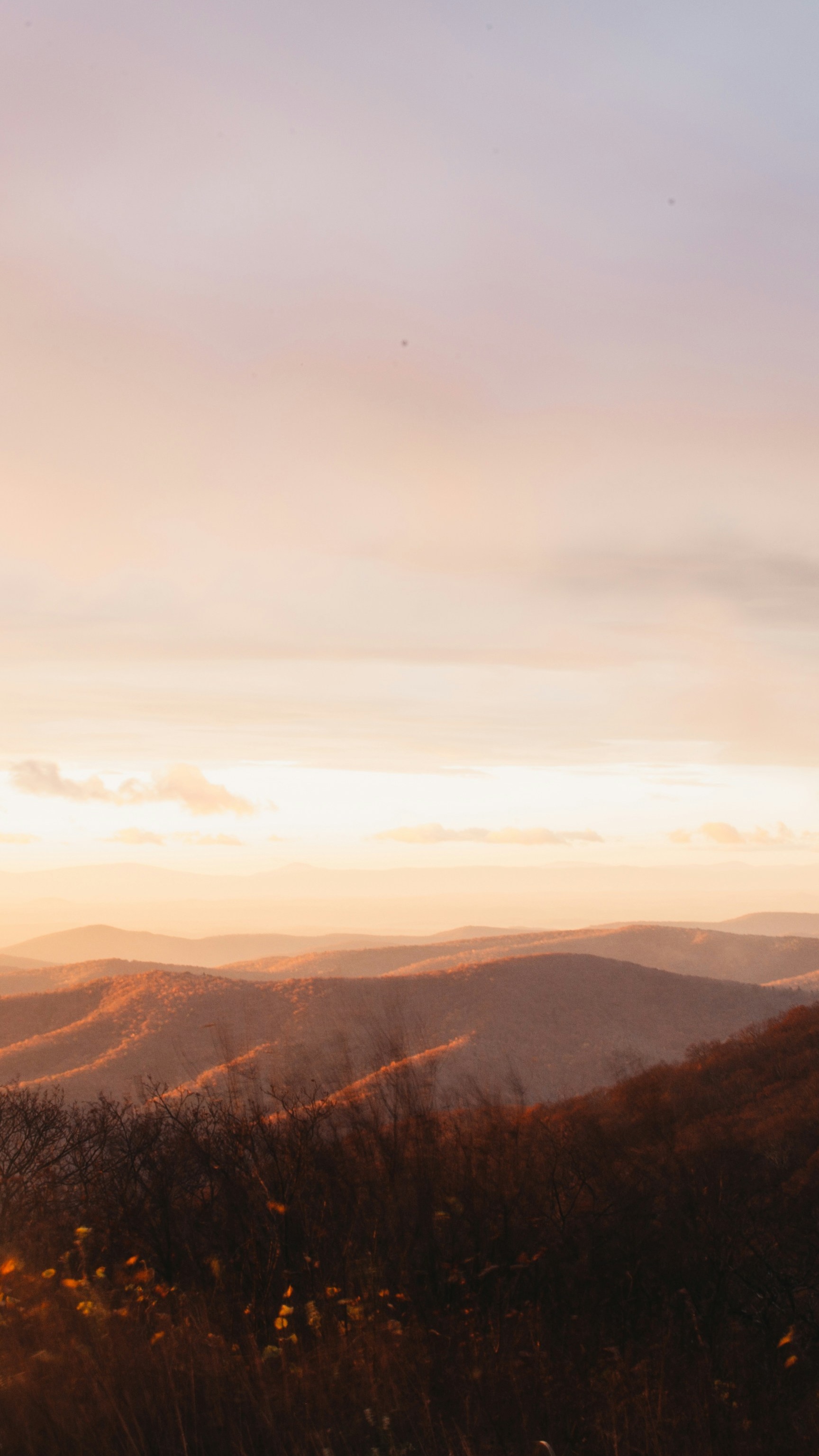 Landscapes