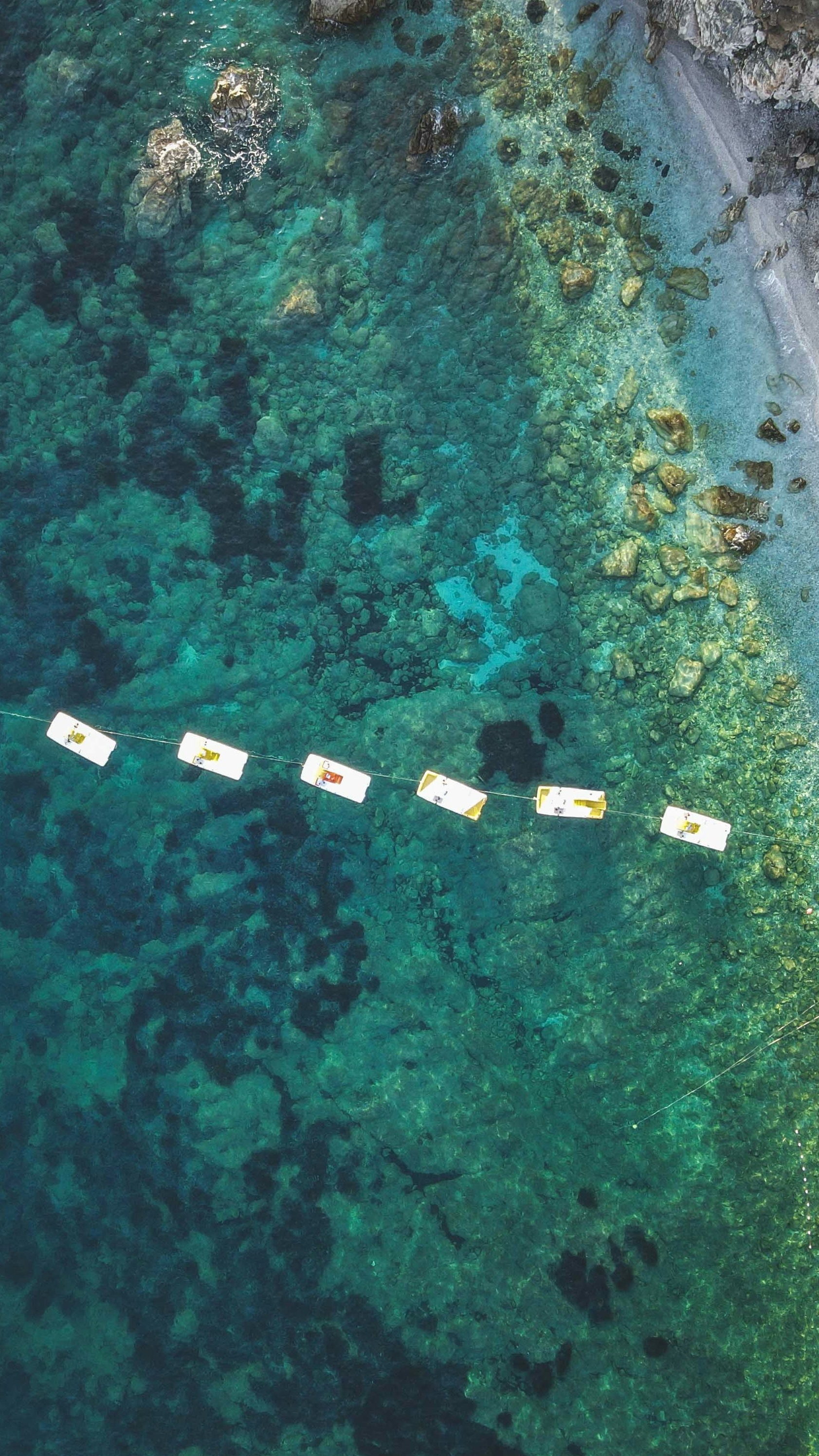 Wallpapers