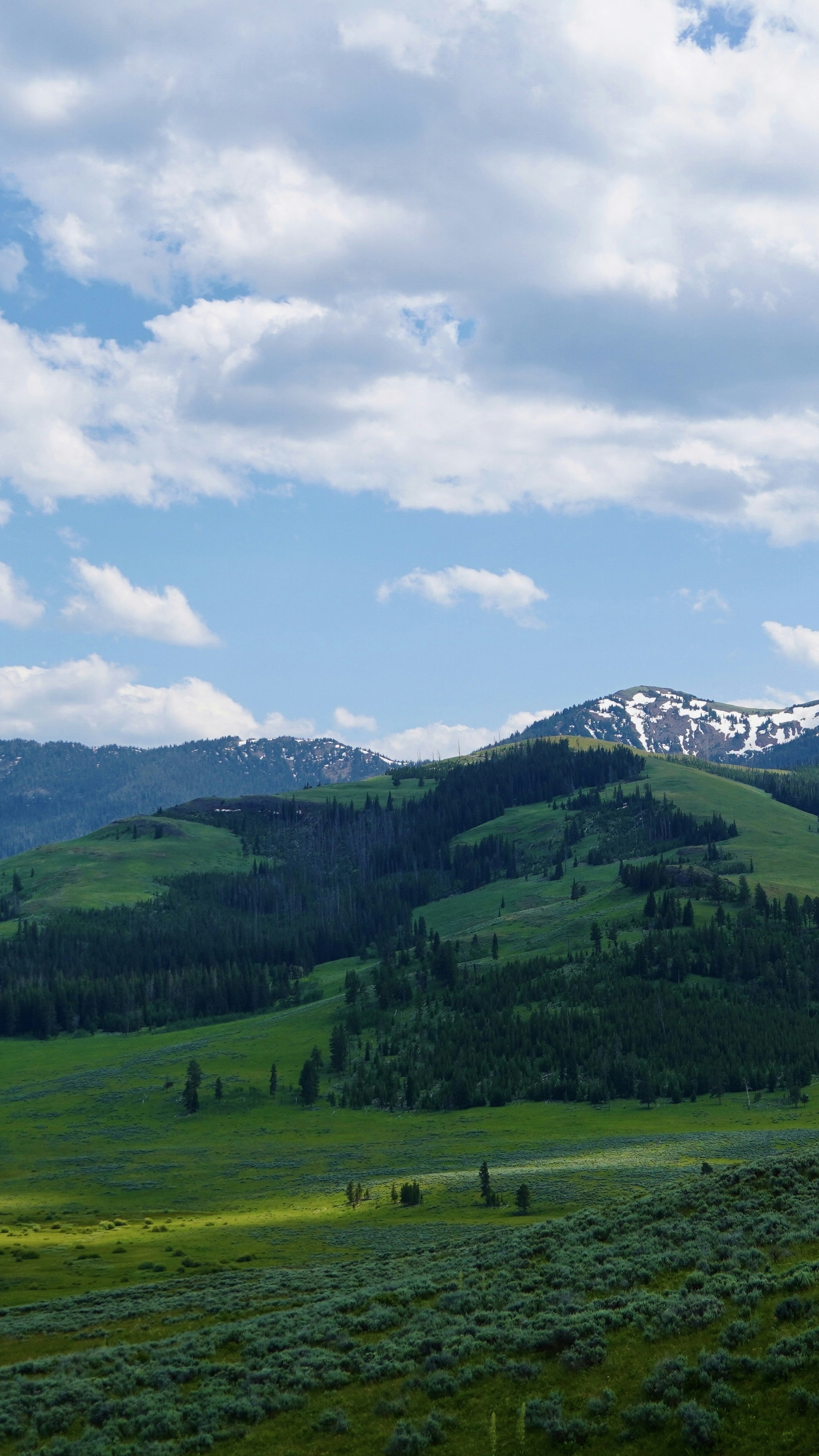 Green Hills and Snow-Capped Mountains