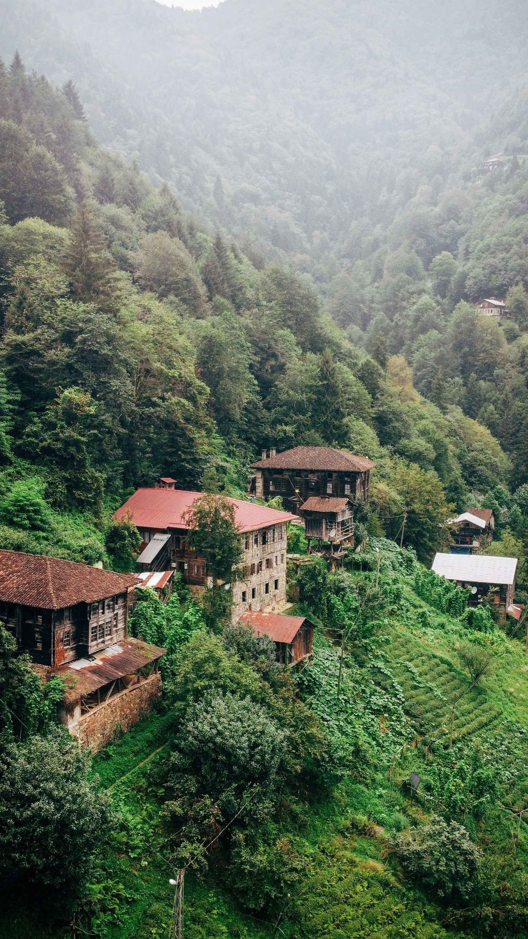 Old Village on Forested Mountain Slope