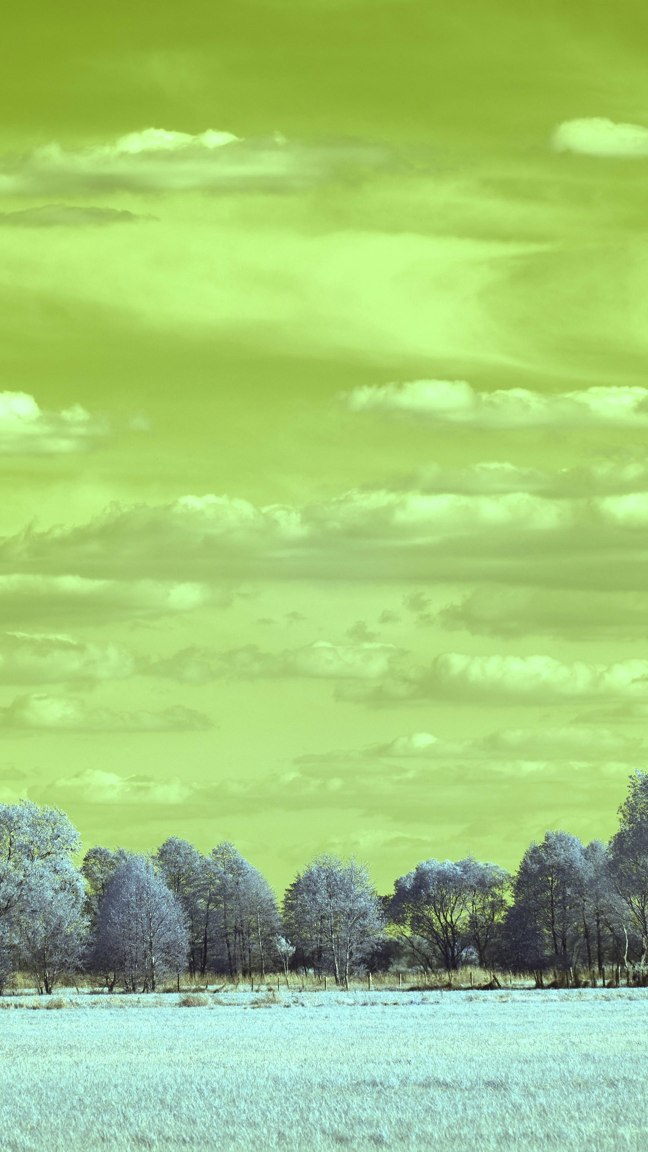 Sky Series
