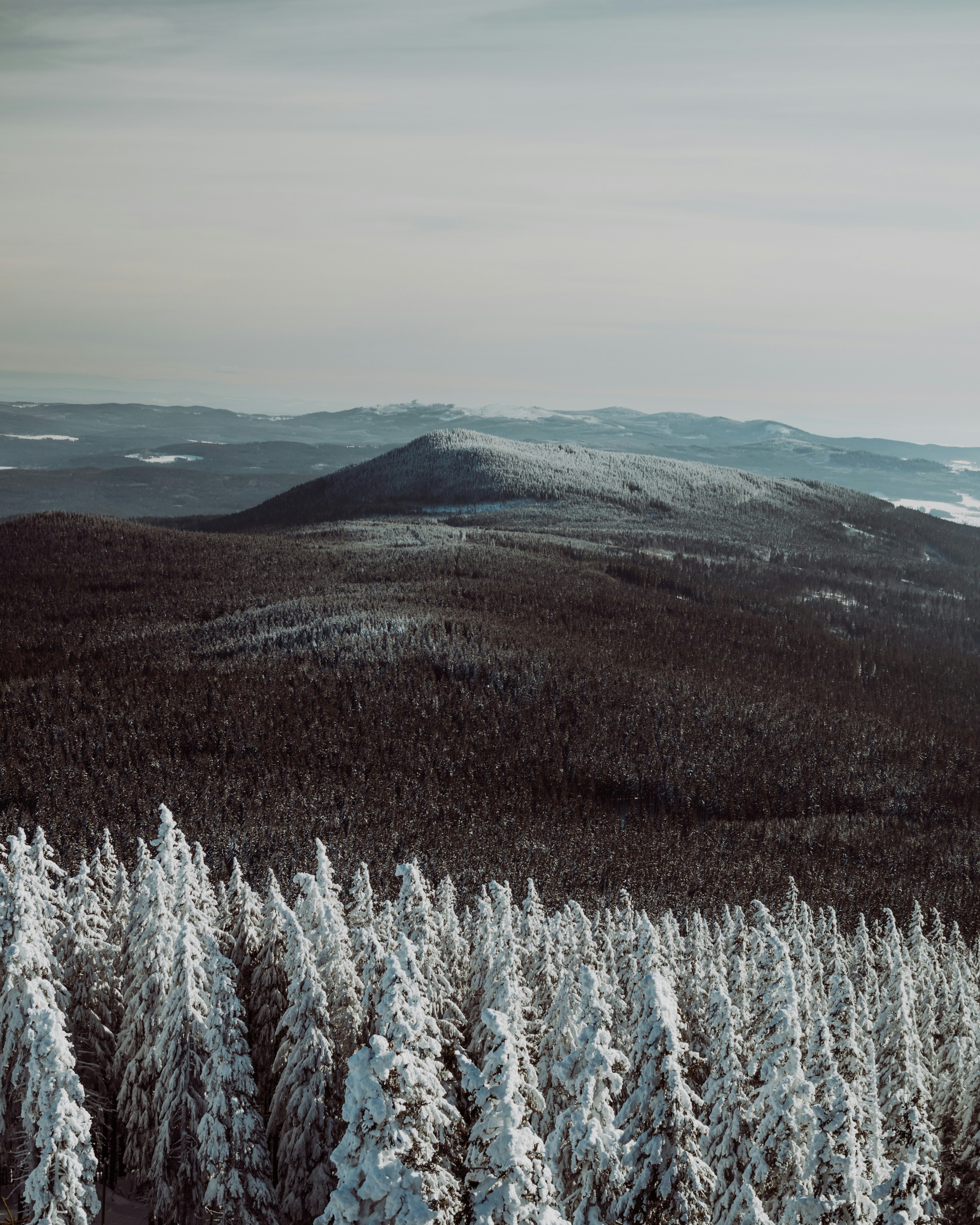 Snow-covered Mountain Forest Landscape