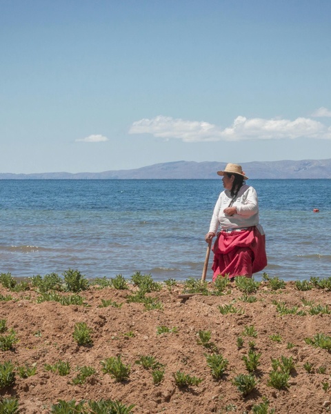 Indigenous Farmer Tending Crops by Lake