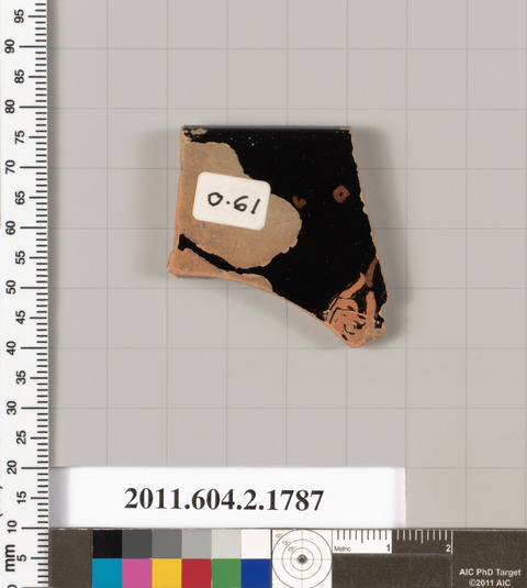 Archaeological Pottery Shard Sample