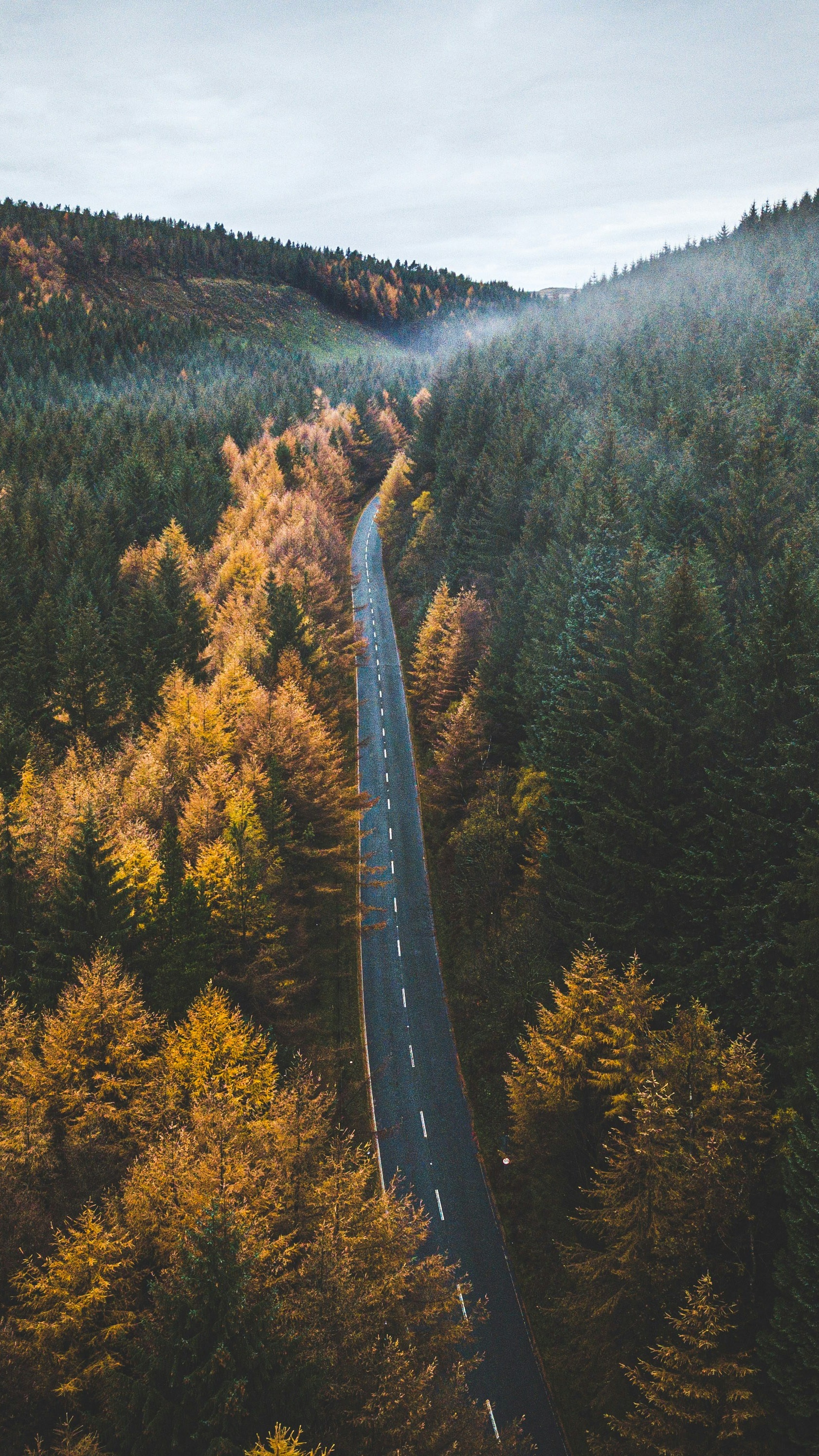 Wallpapers