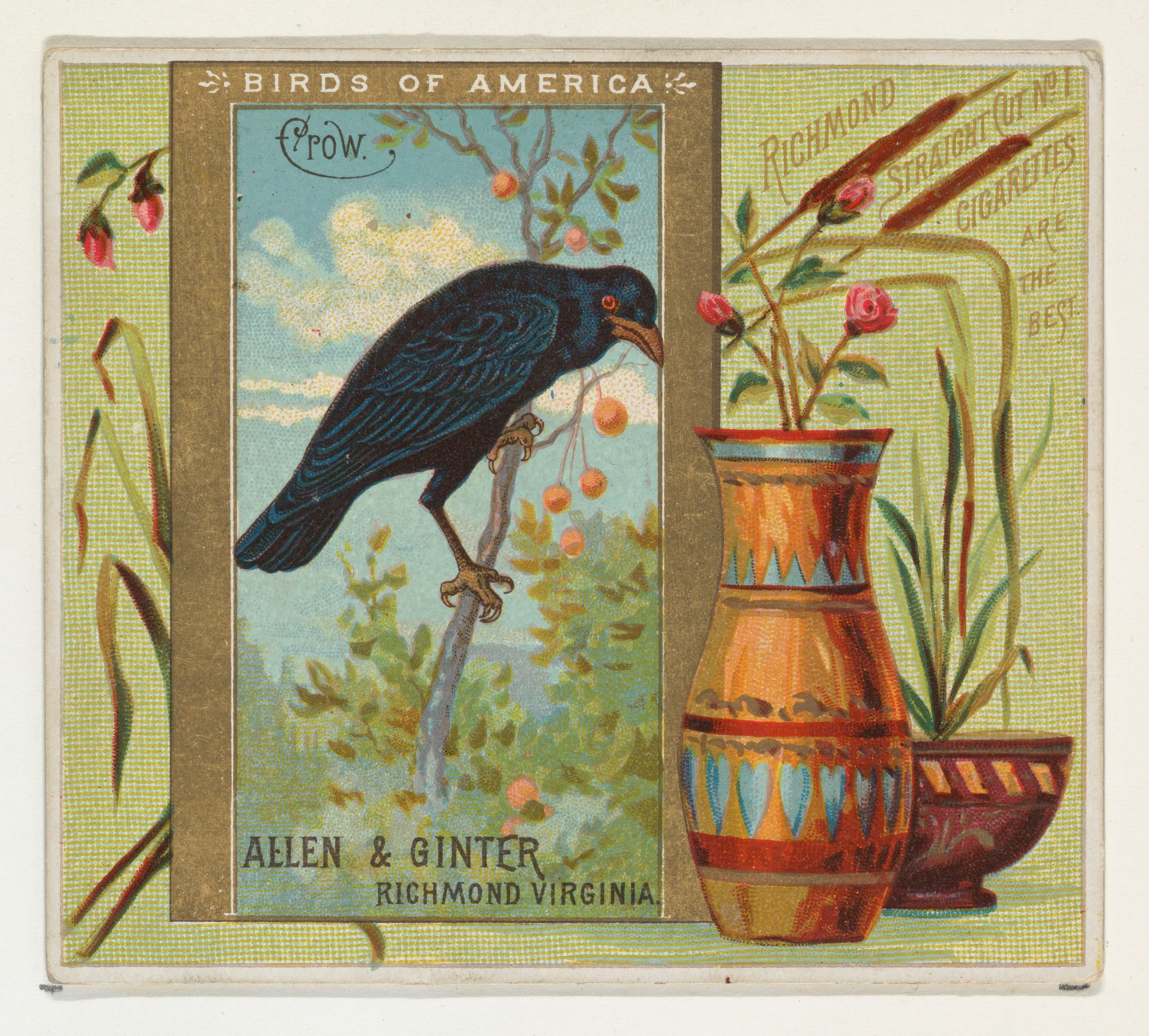 Vintage Crow Cigarette Trade Card