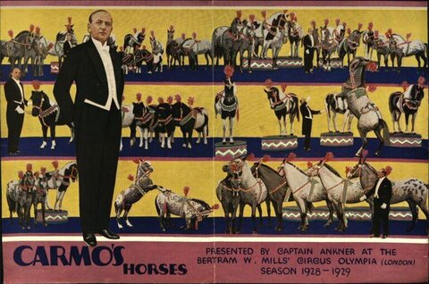 1928 Carmo's Horses Circus Poster
