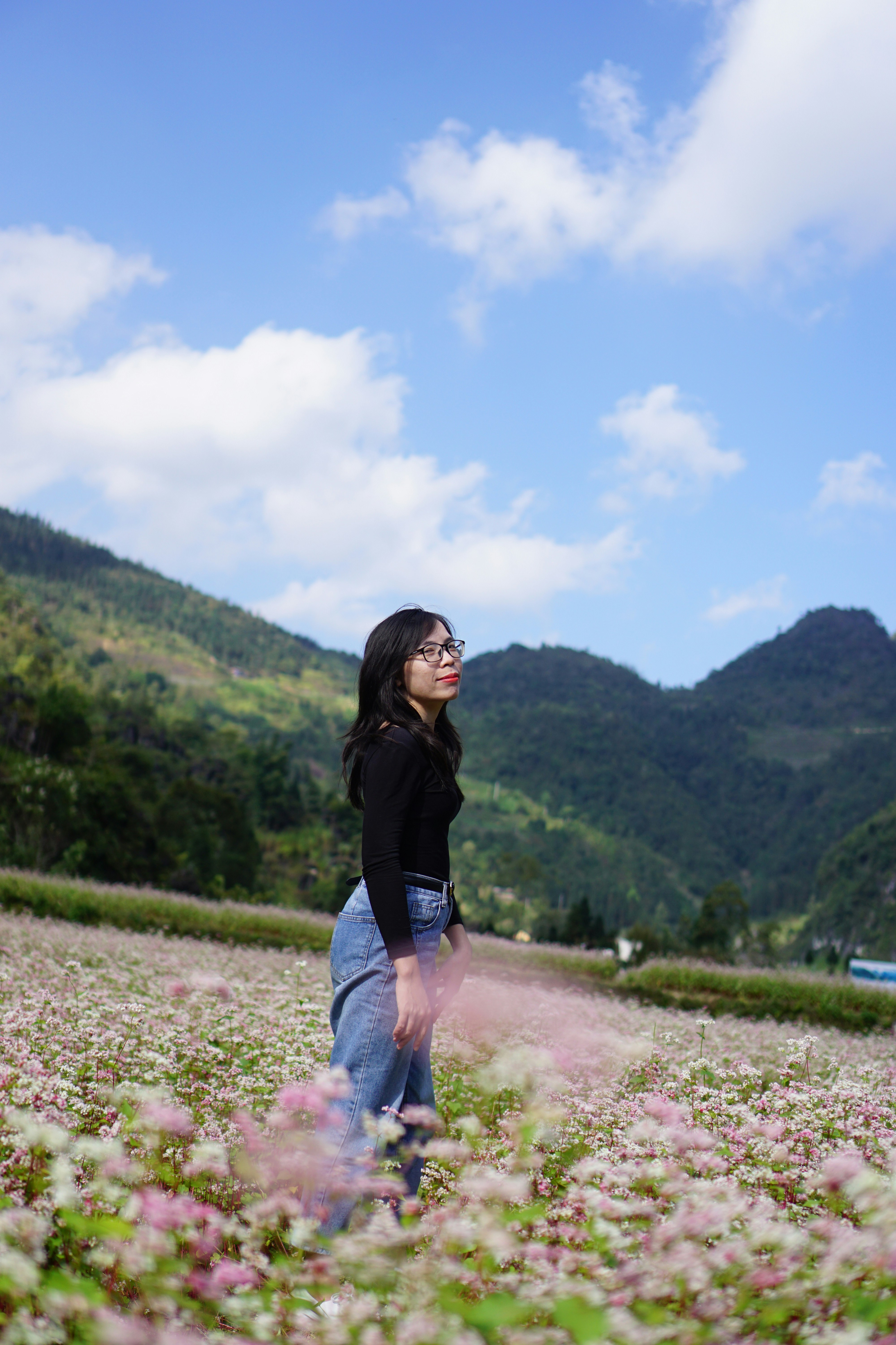 Landscapes