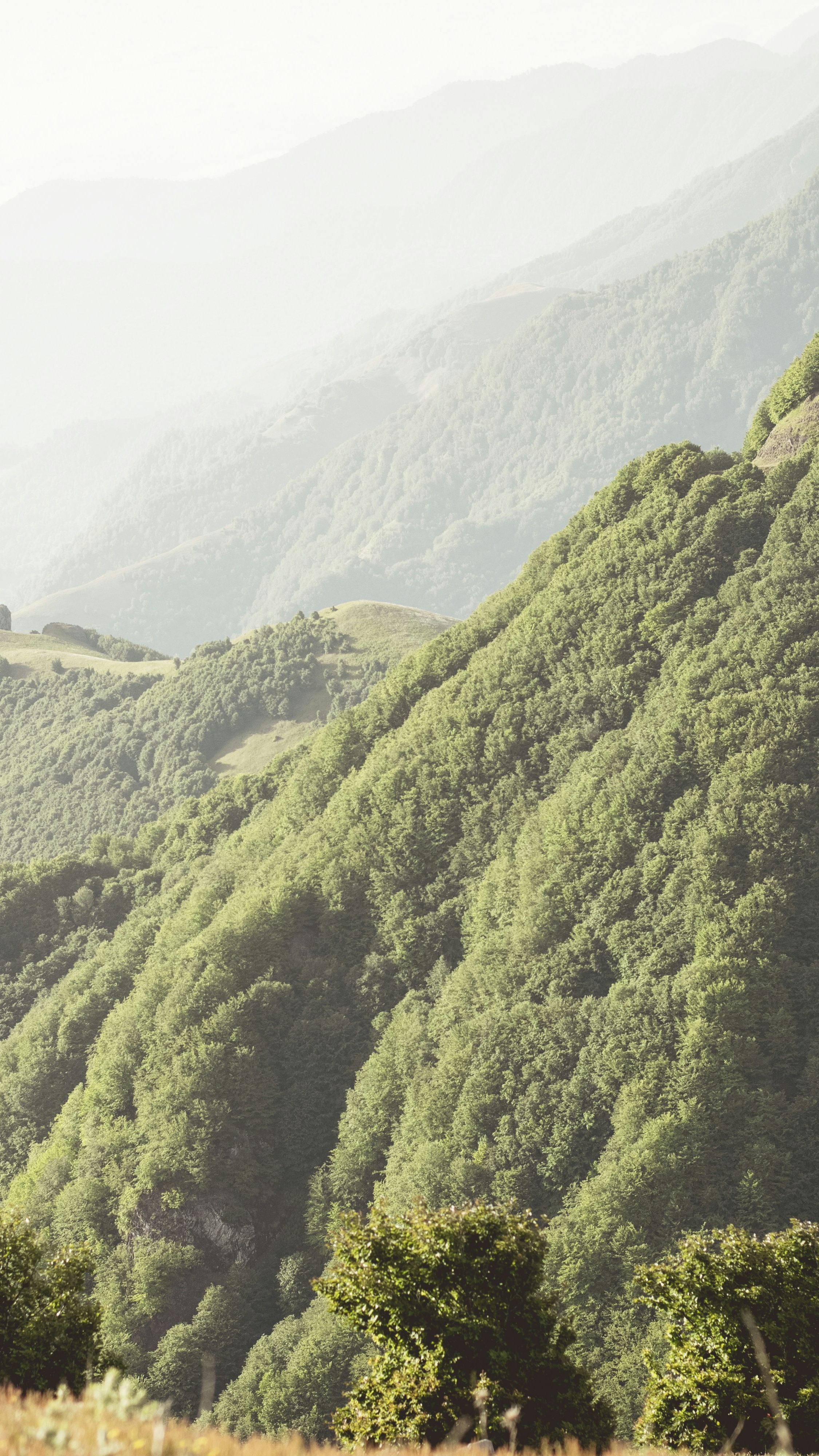 Landscapes