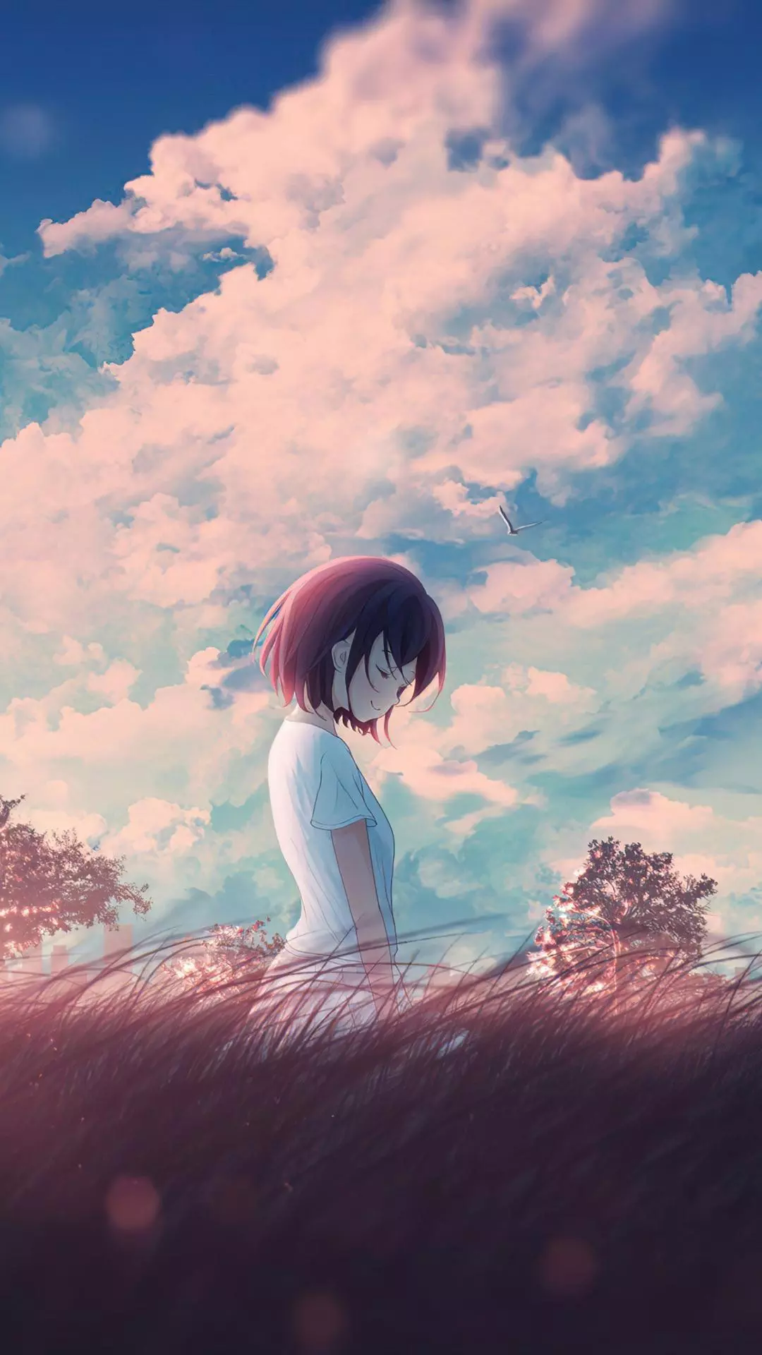 Wallpapers