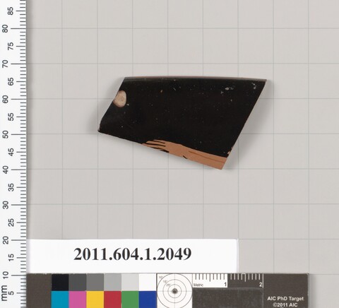 Ancient Terracotta Pottery Fragment