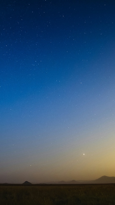 Starry Night Over Grassy Plain