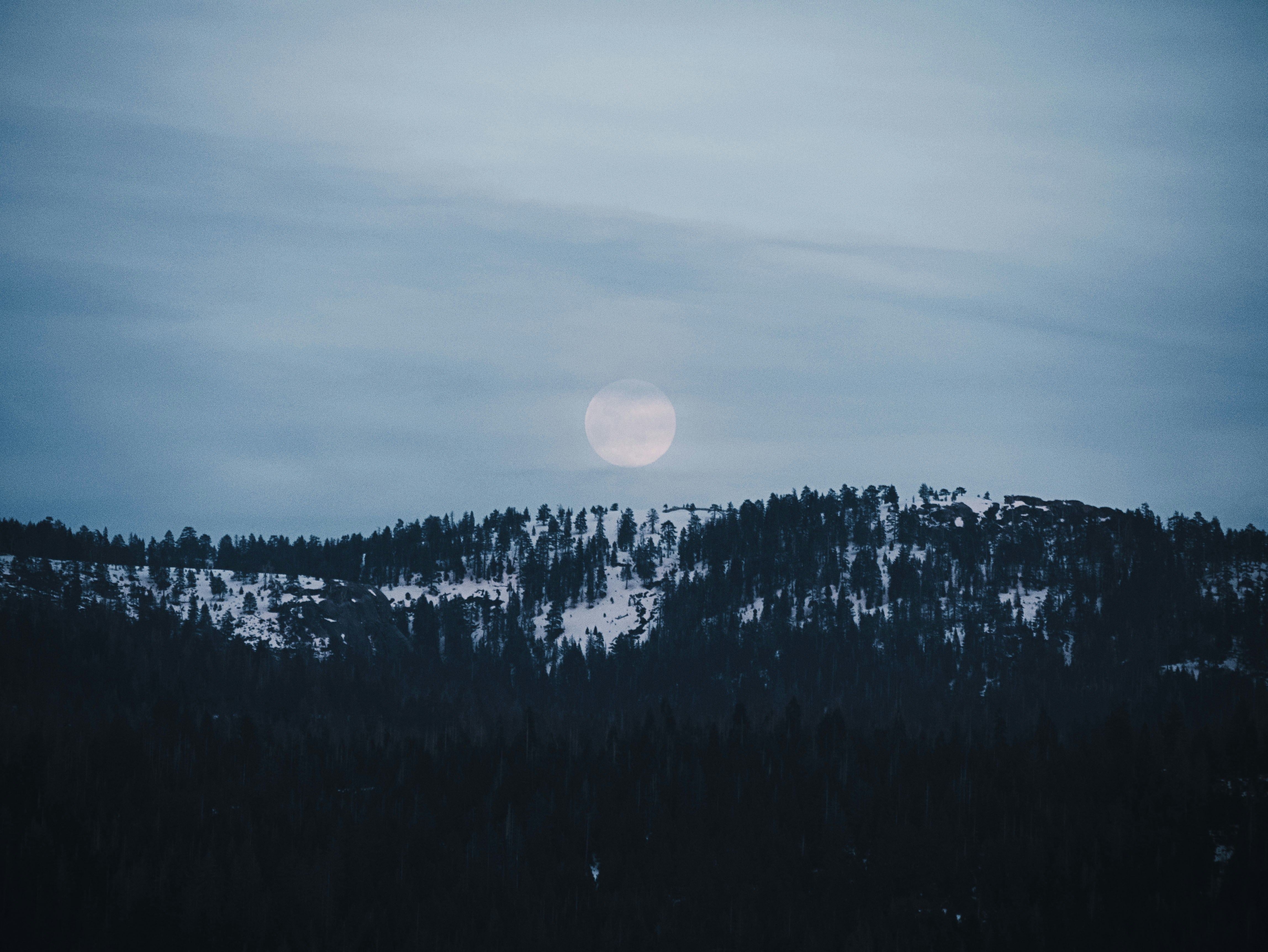 Full Moon Over Snowy Mountain Forest