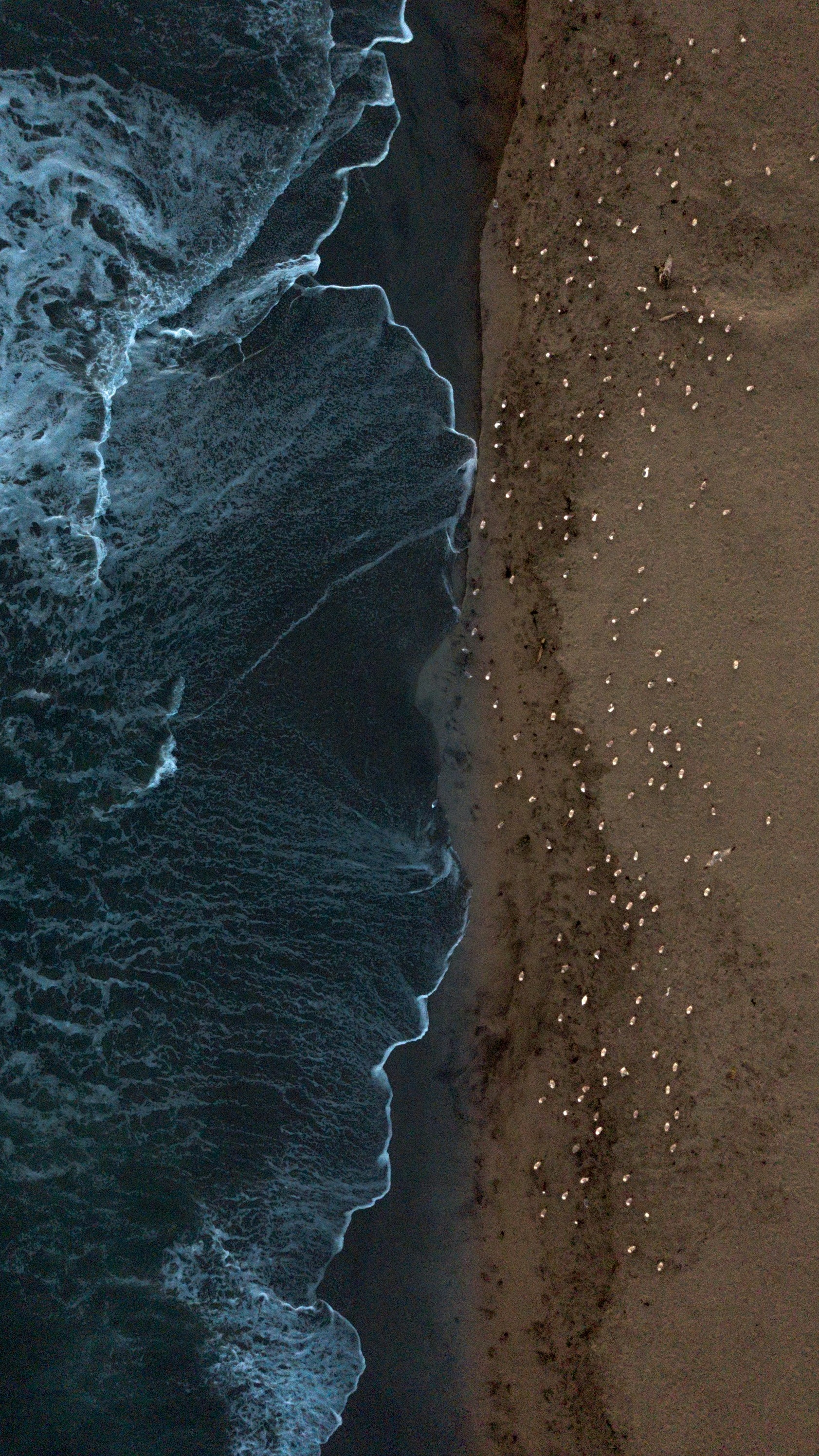 Wallpapers