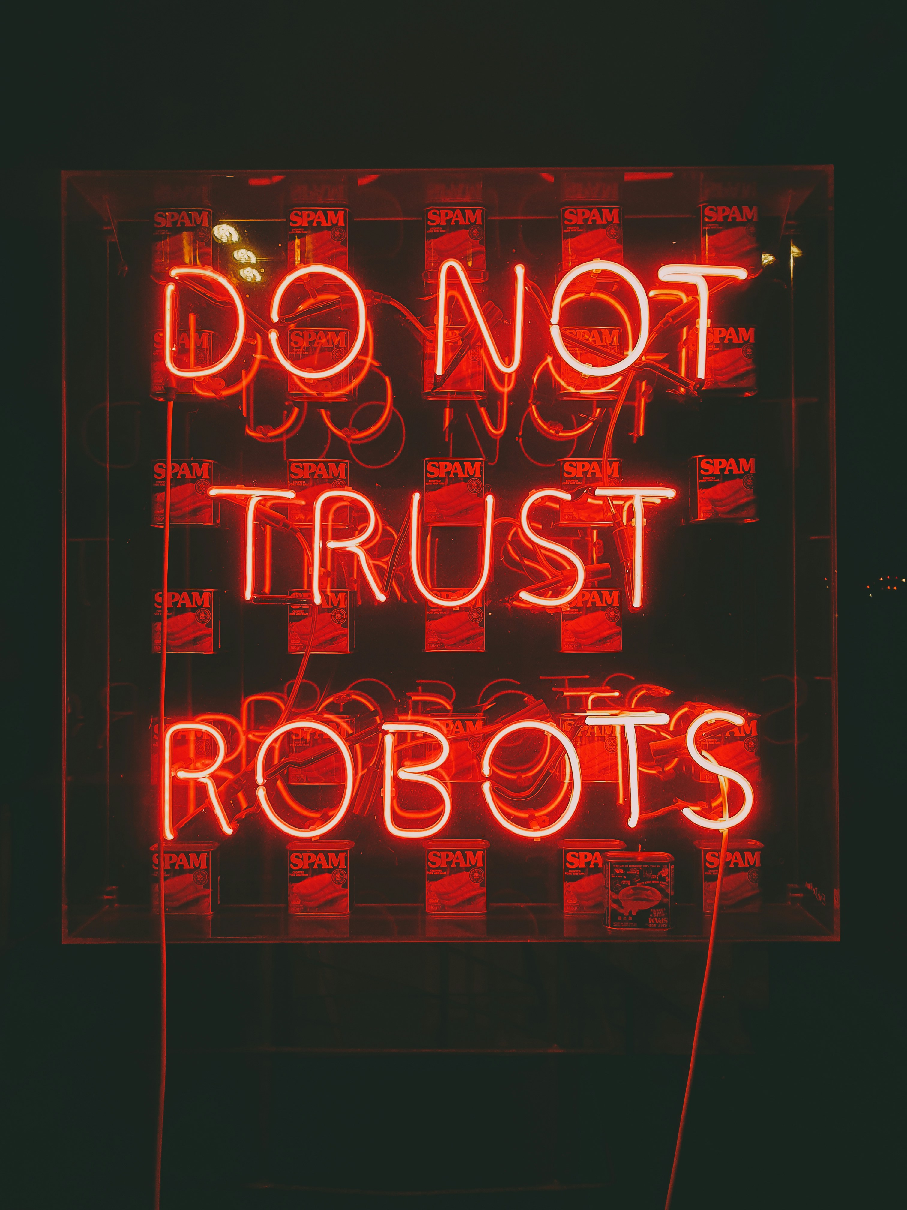 Do Not Trust Robots Neon Sign
