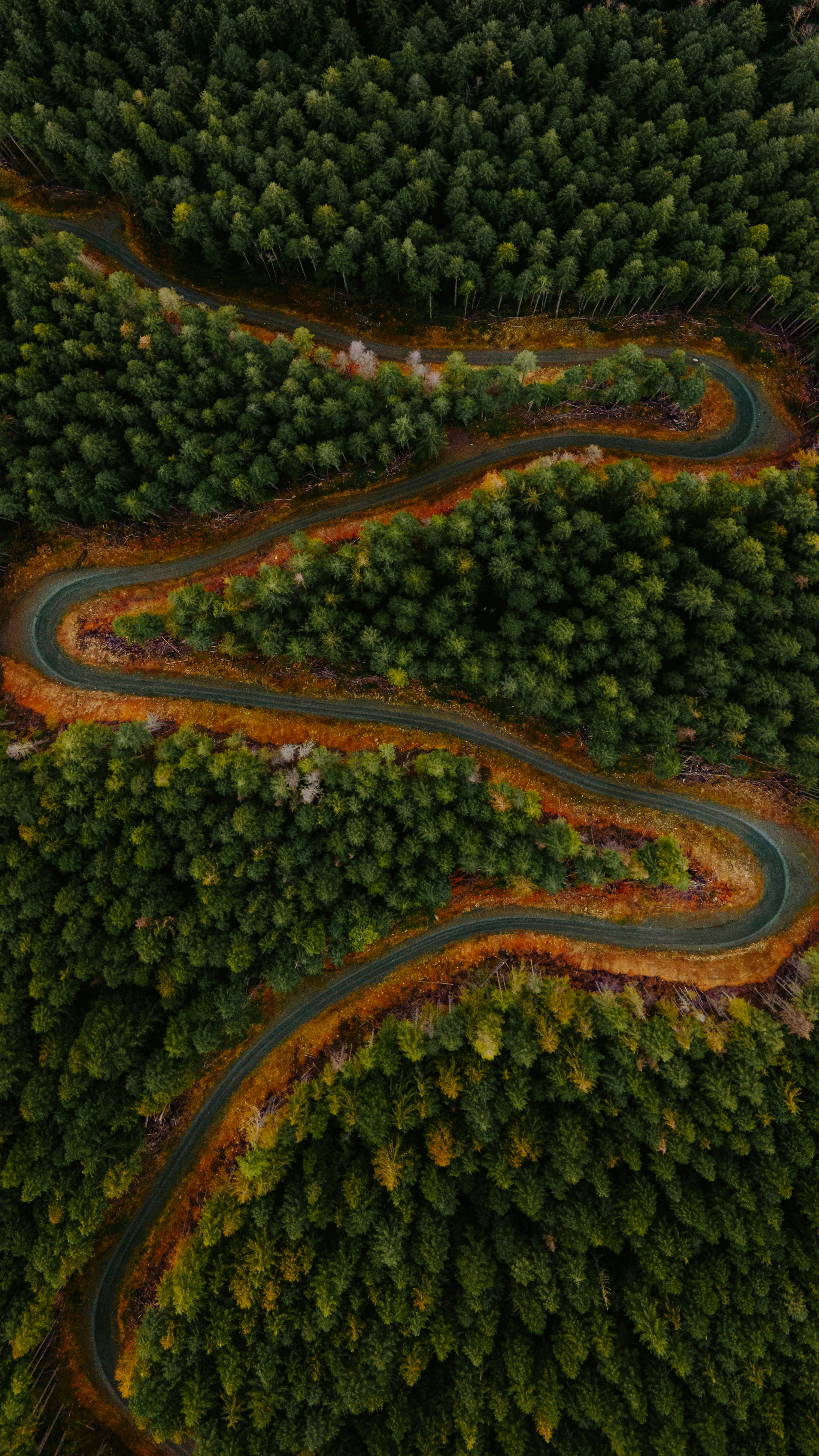 Wallpapers