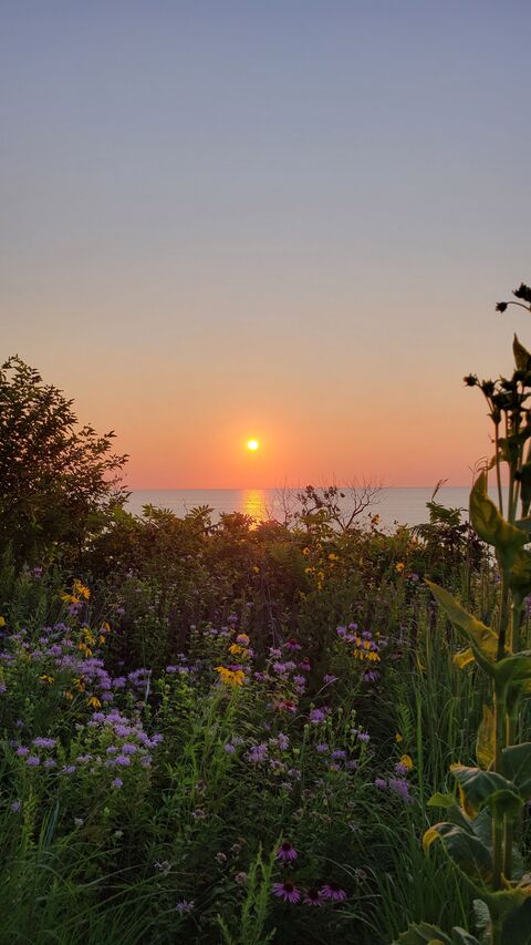 Sunset Over Ocean from Wildflower Bluff