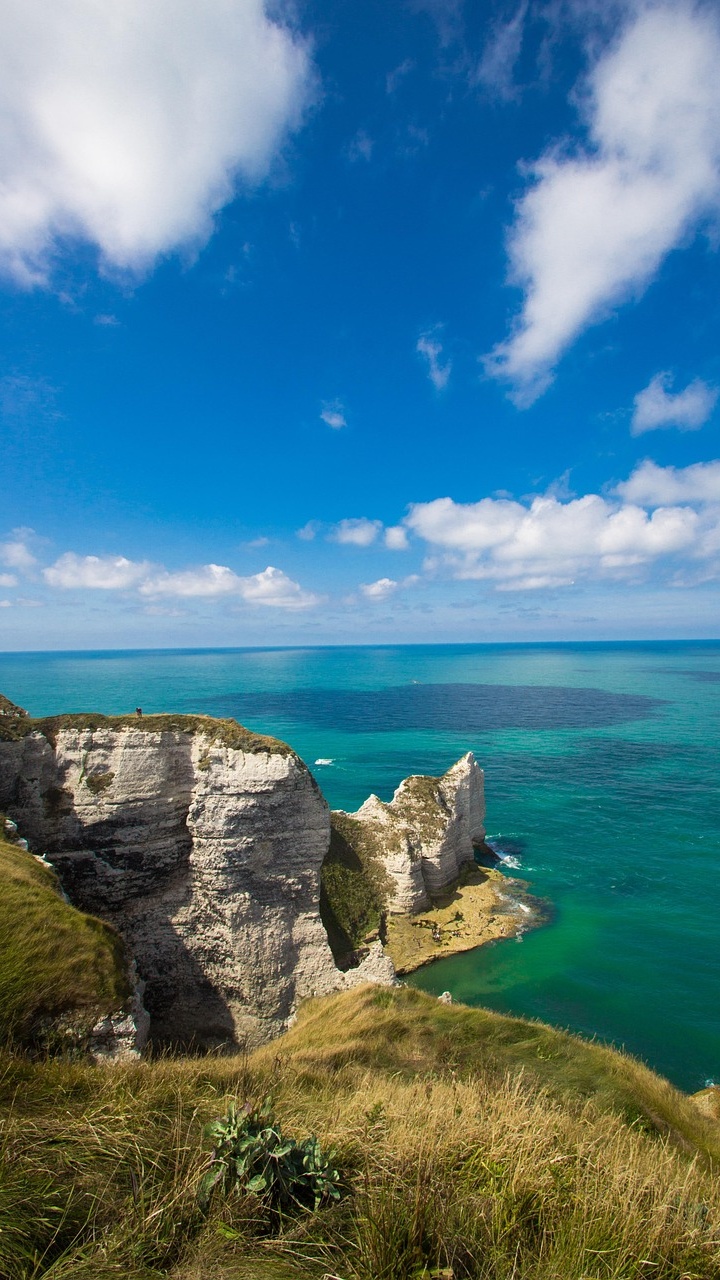 Image 1601782 — Backgrounds