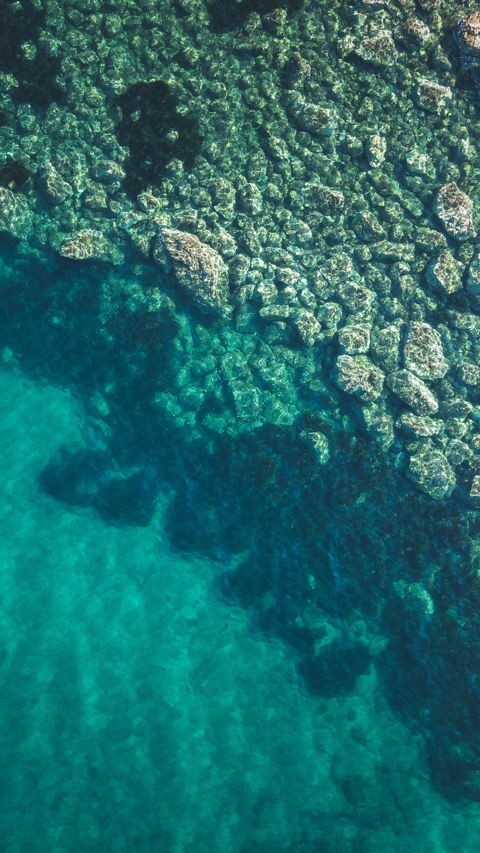Wallpapers