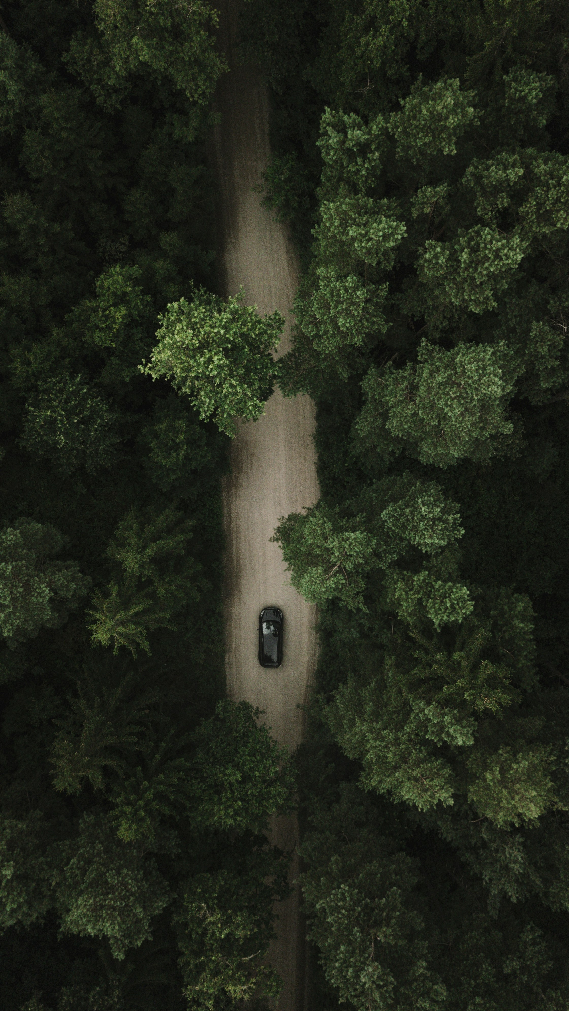 Wallpapers