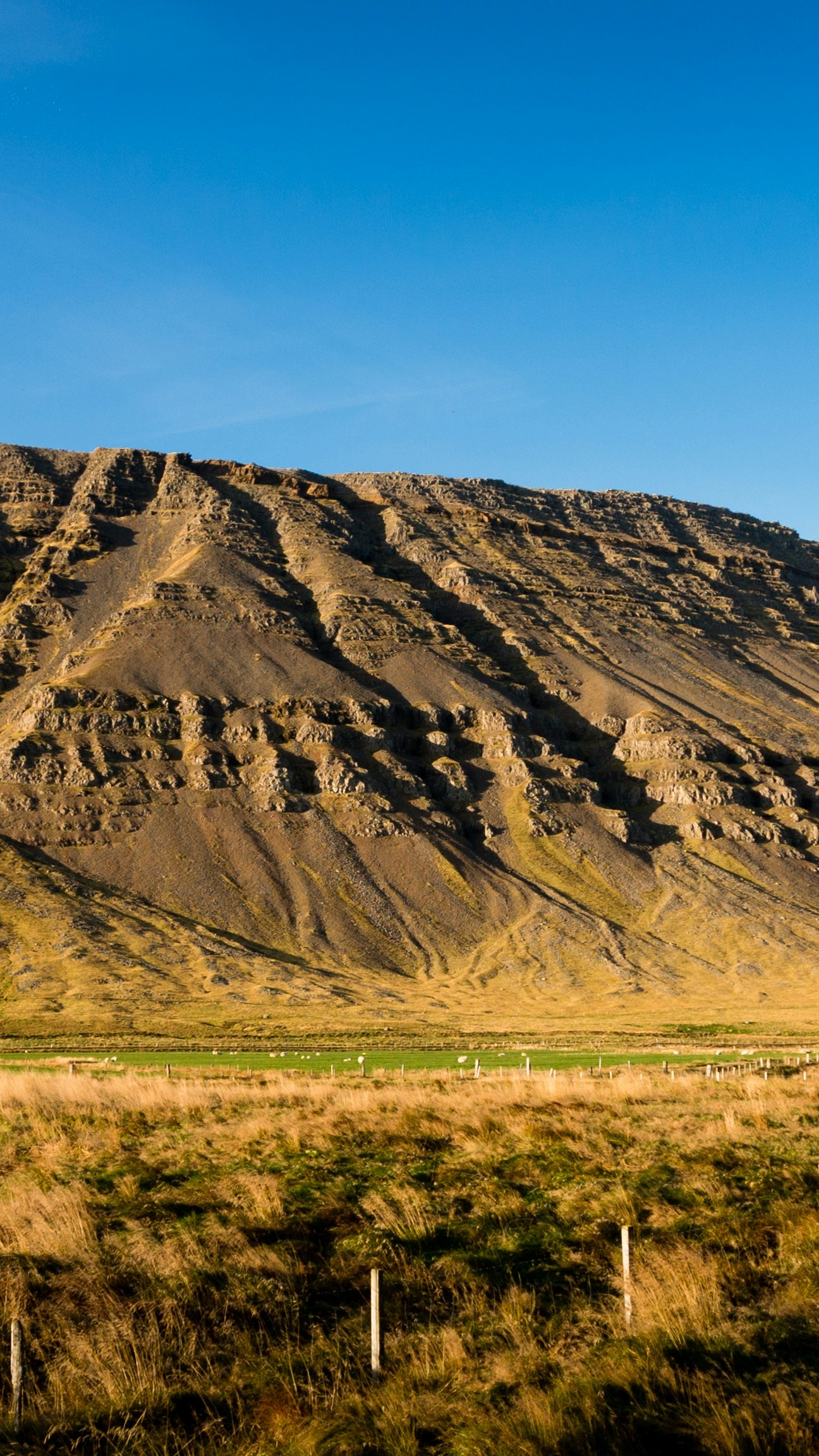 Rocky Mountain Grassland Landscape