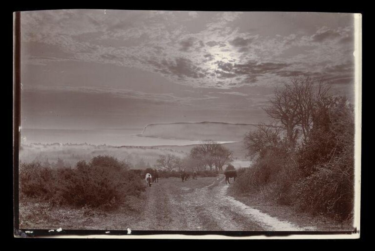 Vintage Moonlit Coastal Country Path