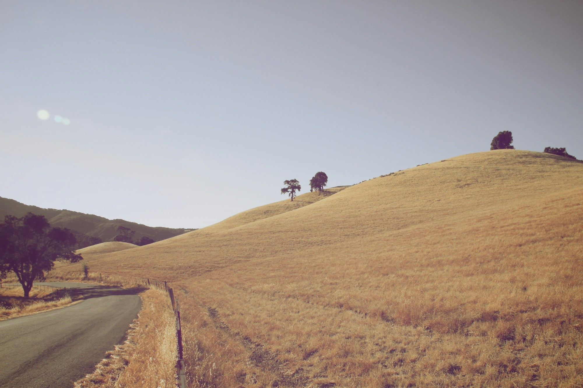 Golden Hills Country Road