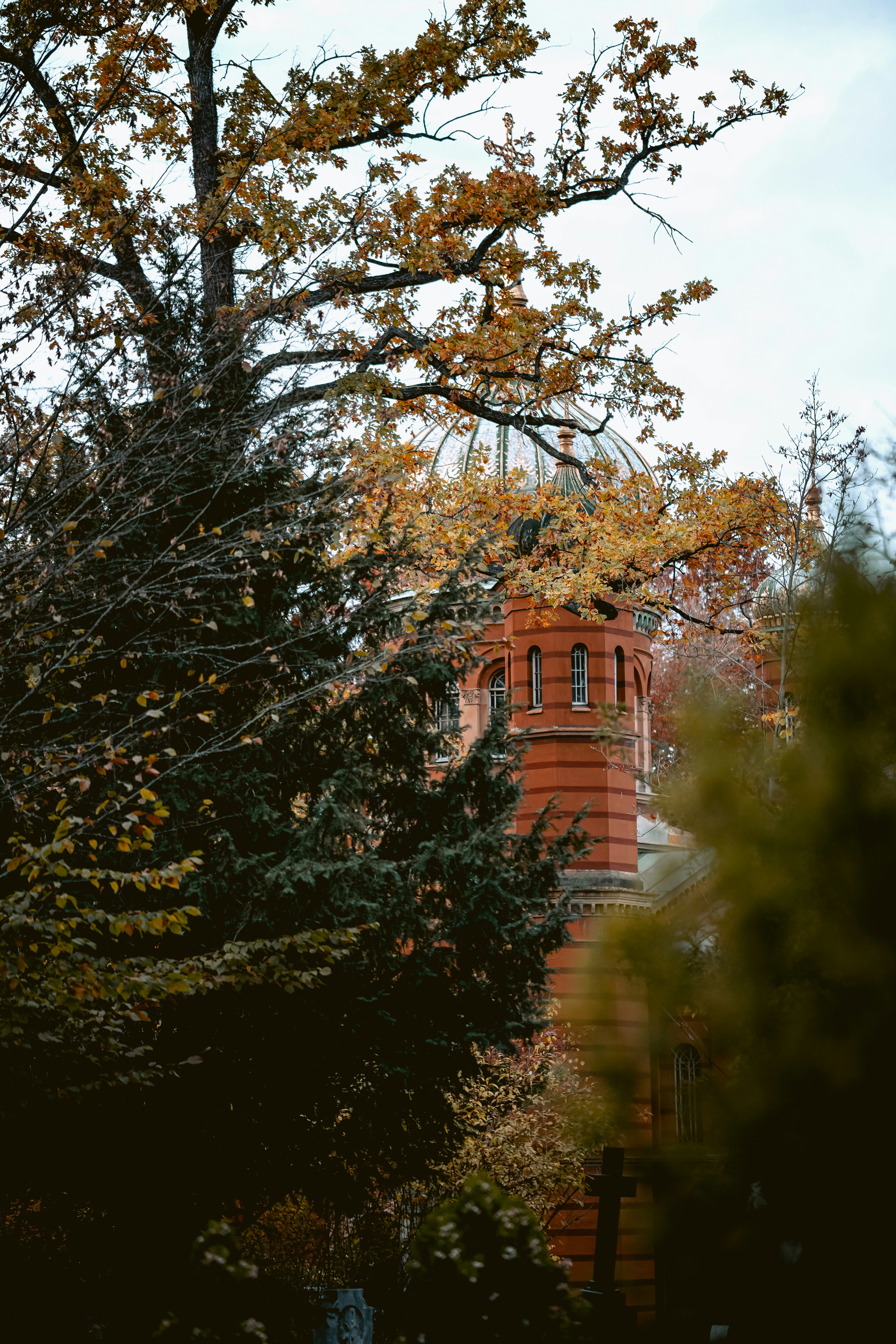 Red Church Peeking Through Autumn Trees