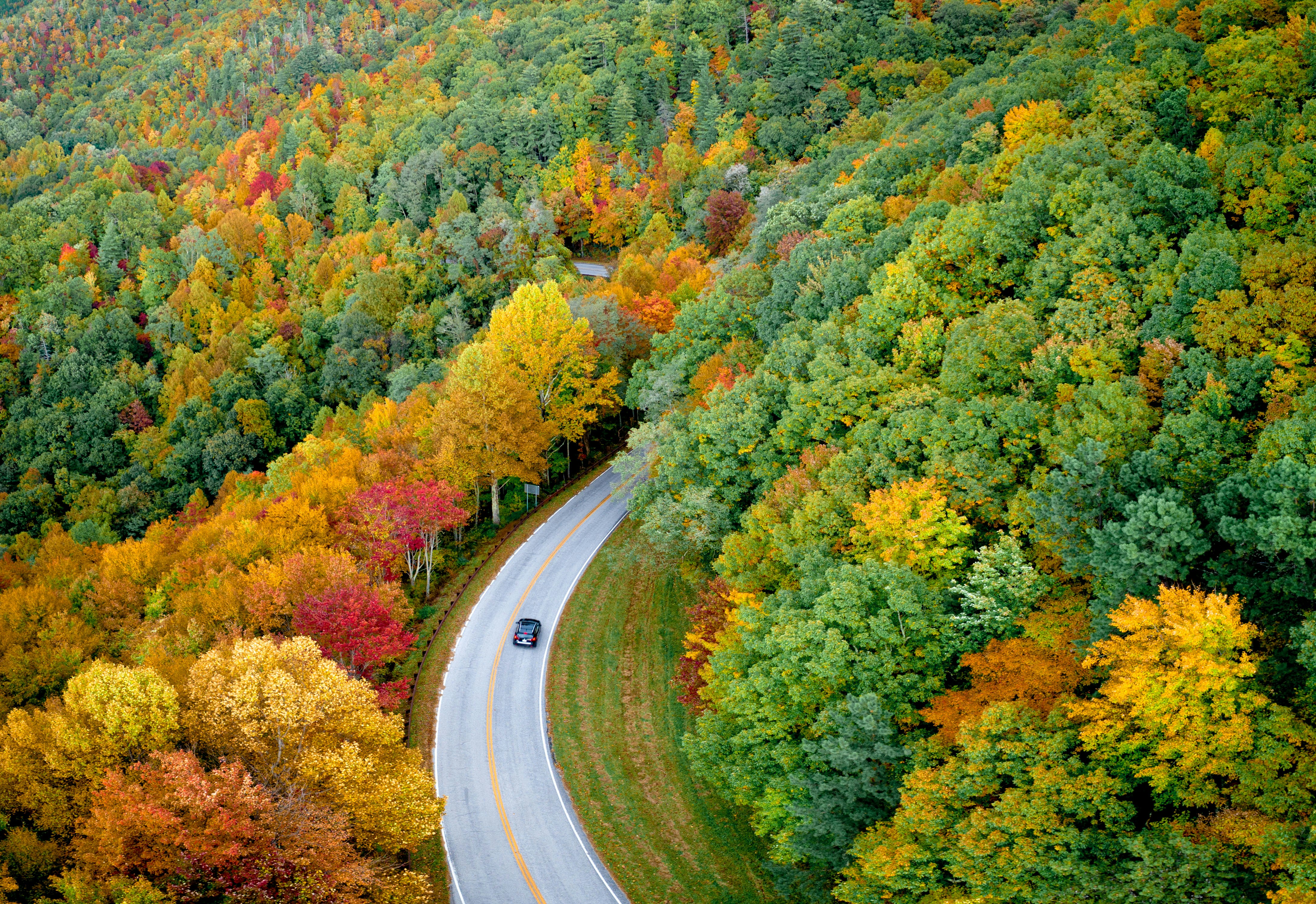 Winding Road Through Autumn Forest