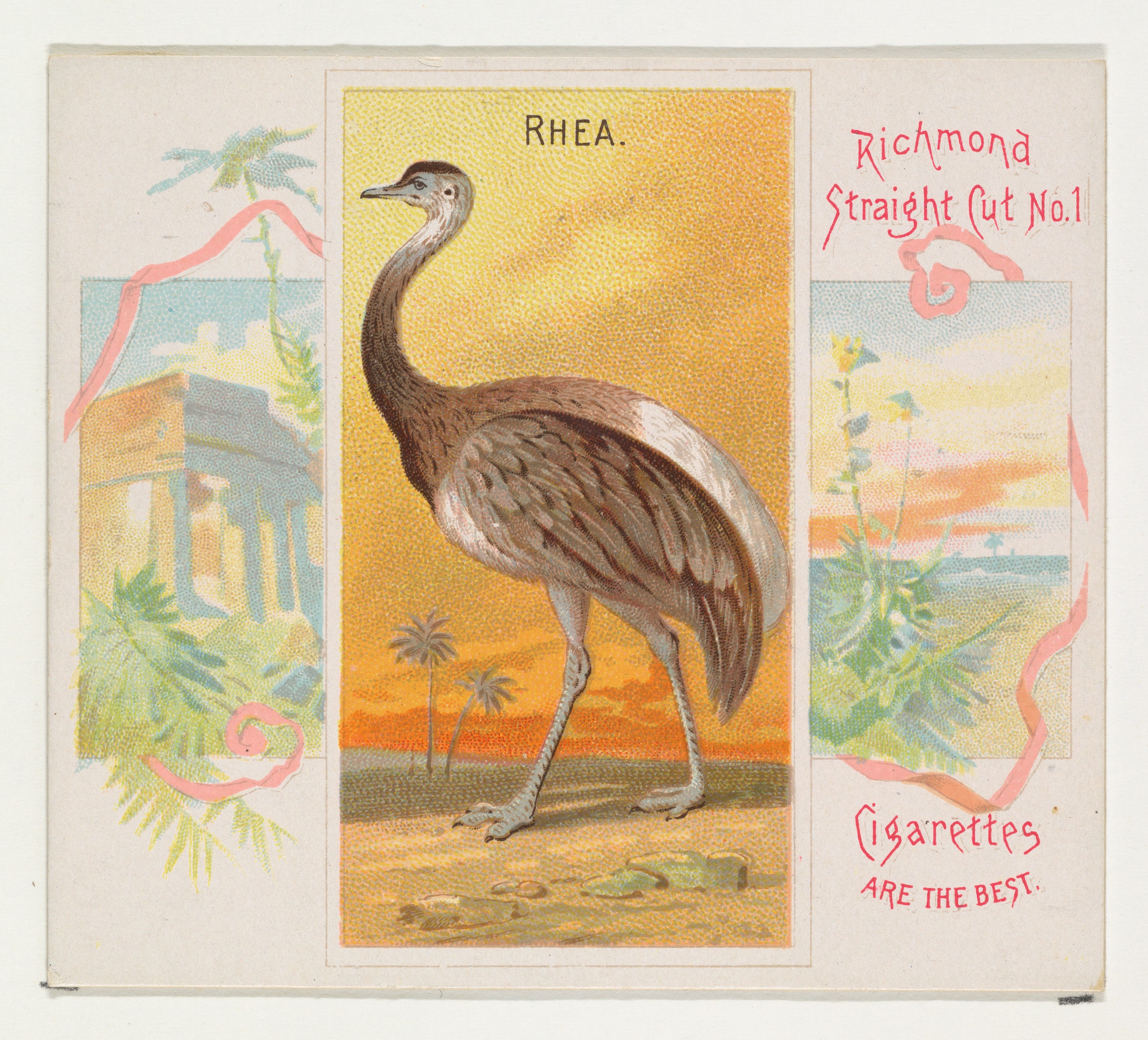 Vintage Rhea Cigarette Trade Card