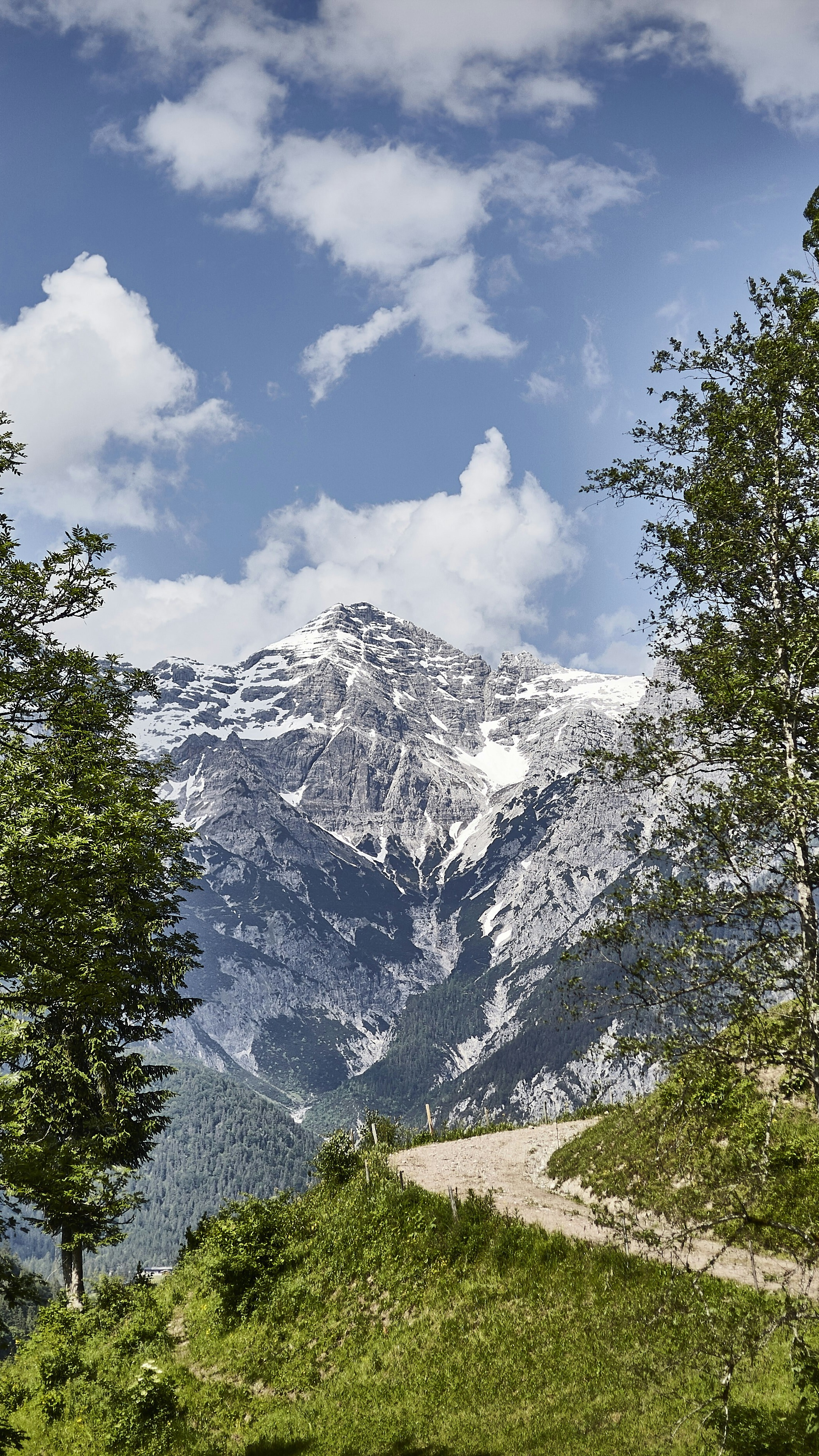 Snow-capped Mountain Summer Landscape