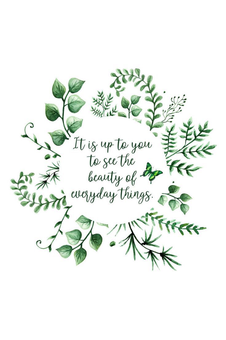 Motivational Quote with Green Foliage