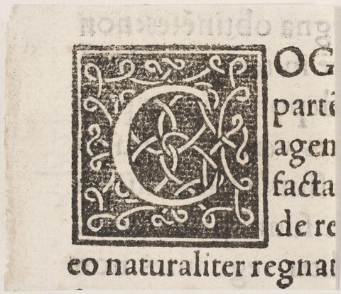 Decorated Initial C on Antique Print