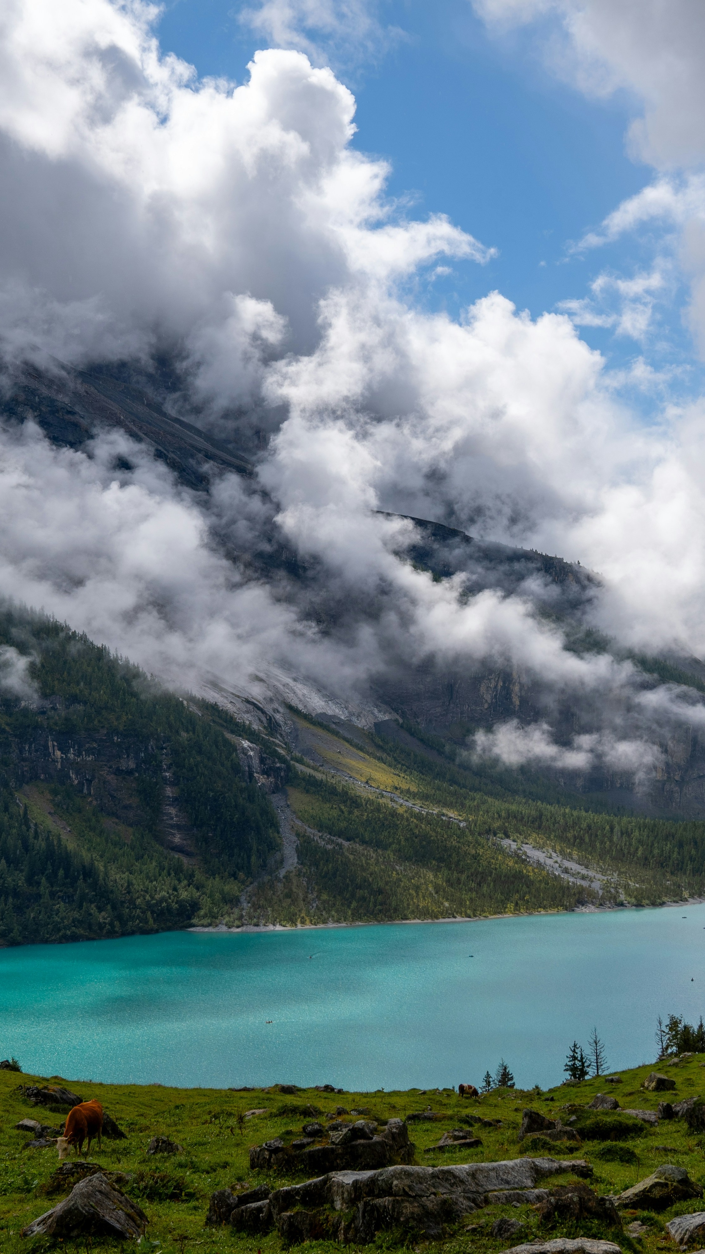 Landscapes