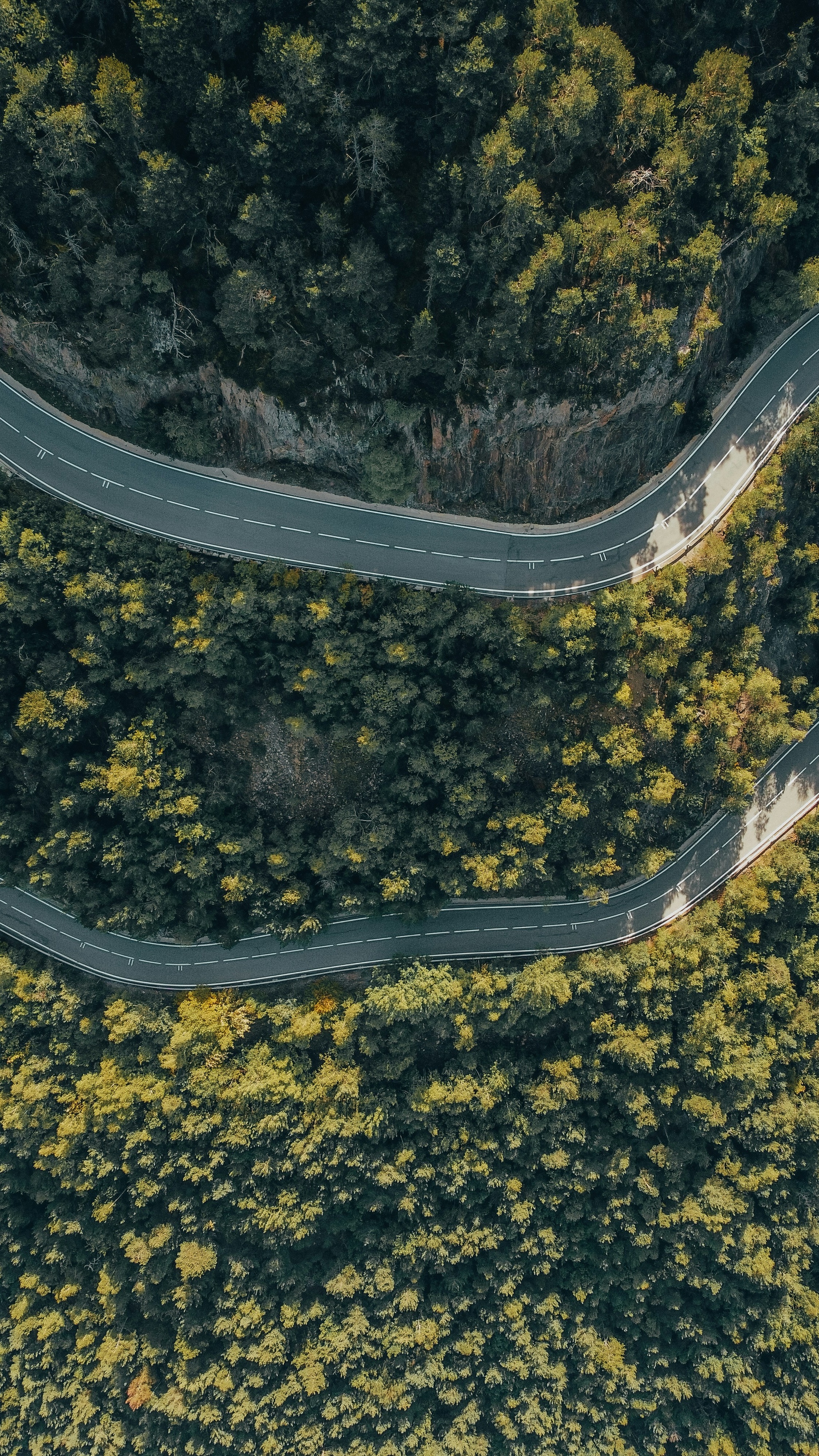 Wallpapers