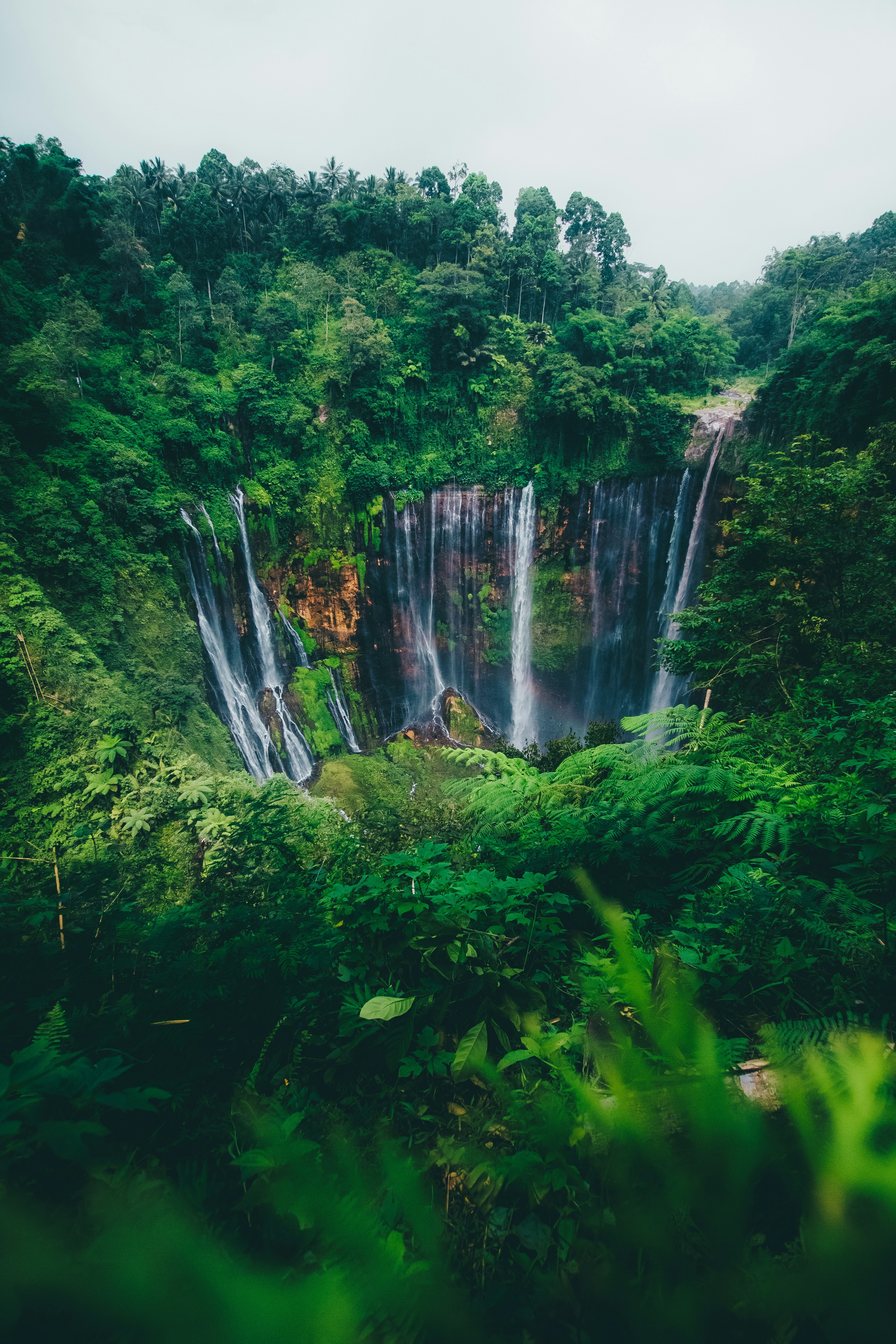 Lush Forest Cliff Waterfall