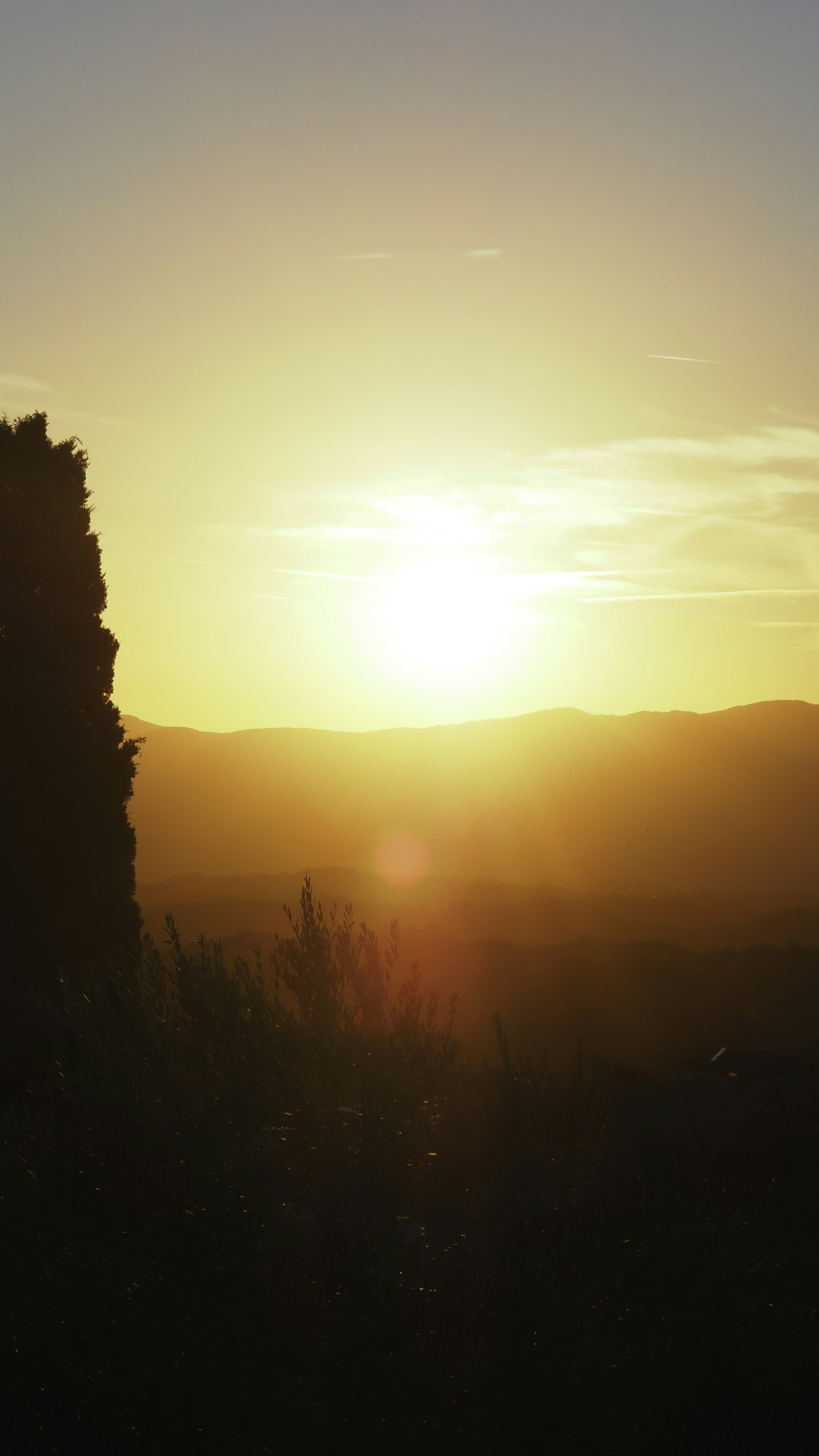 Landscapes