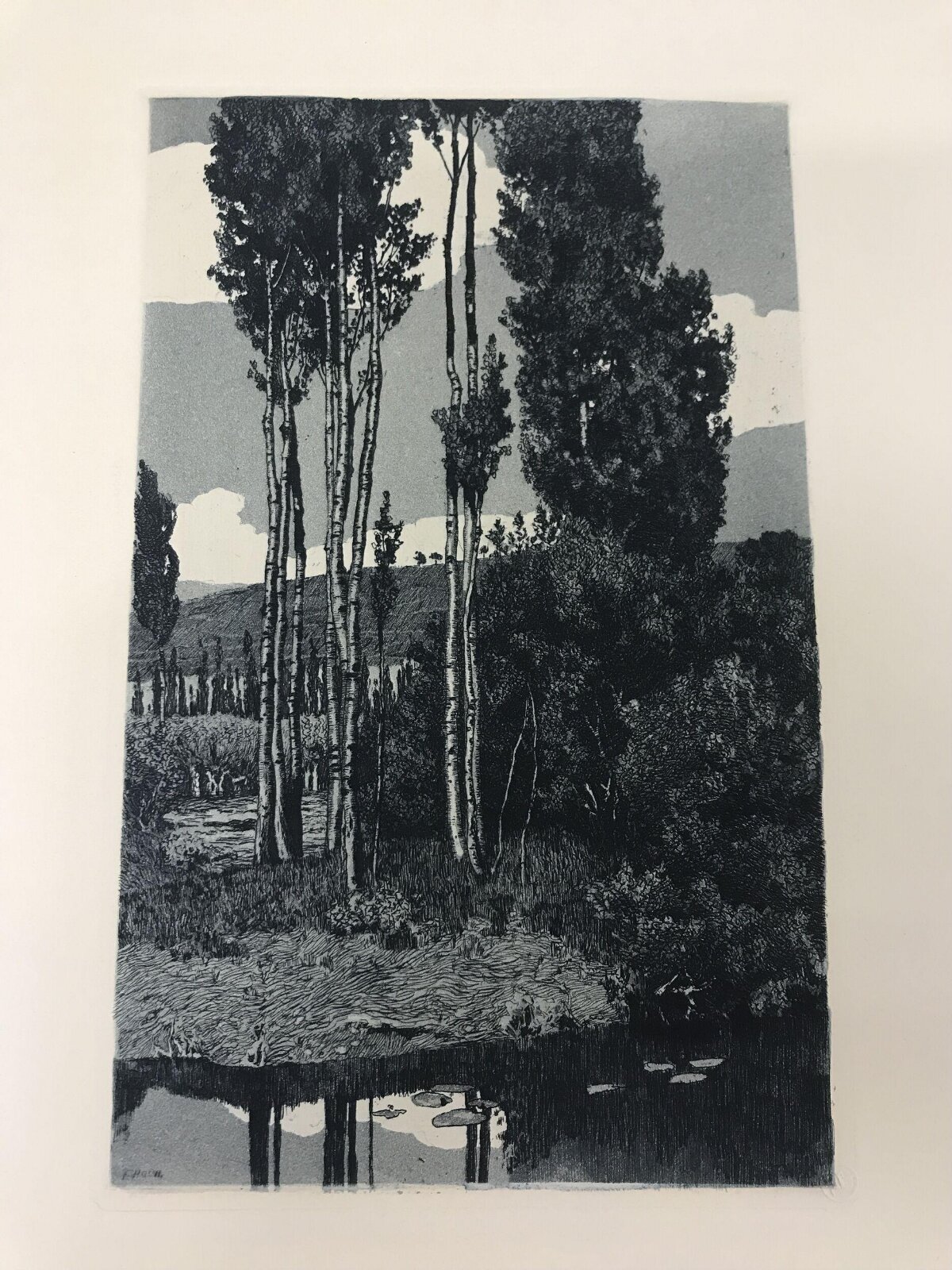 Tall Poplars by Water Landscape