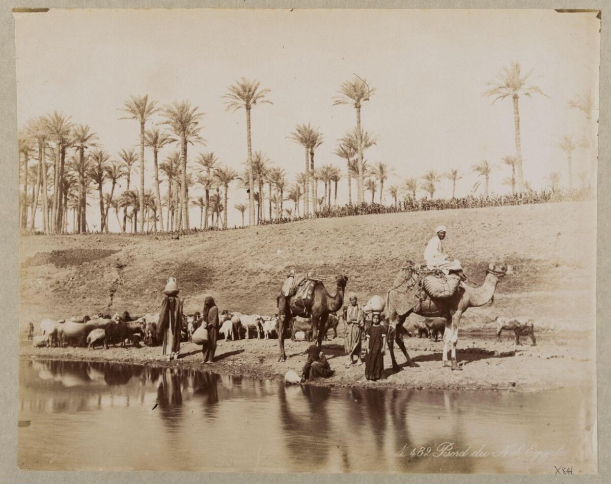 Nile River Bank in Egypt