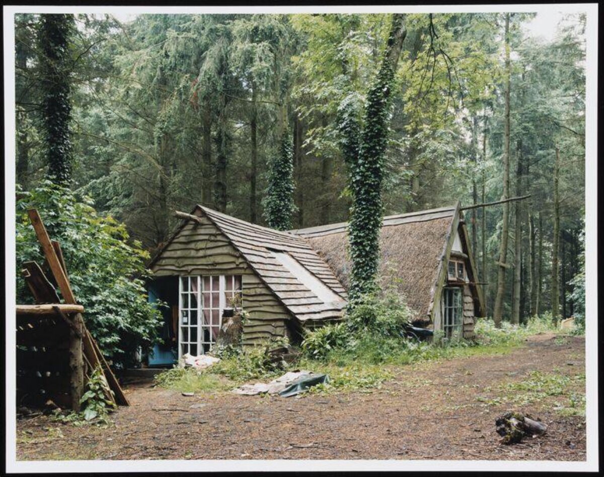 Wood Cabins in Dense Forest