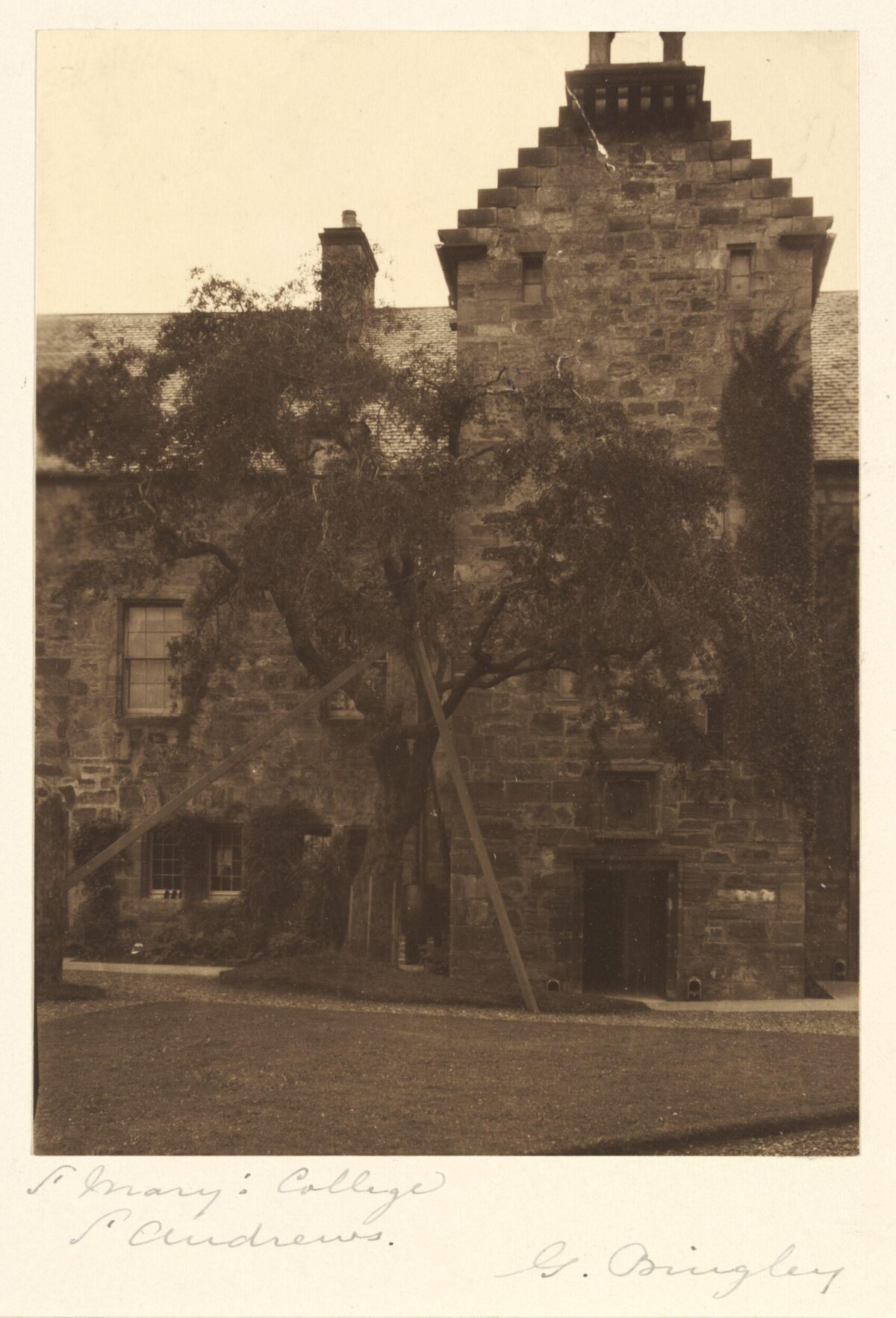 Vintage View of St Mary's College St Andrews
