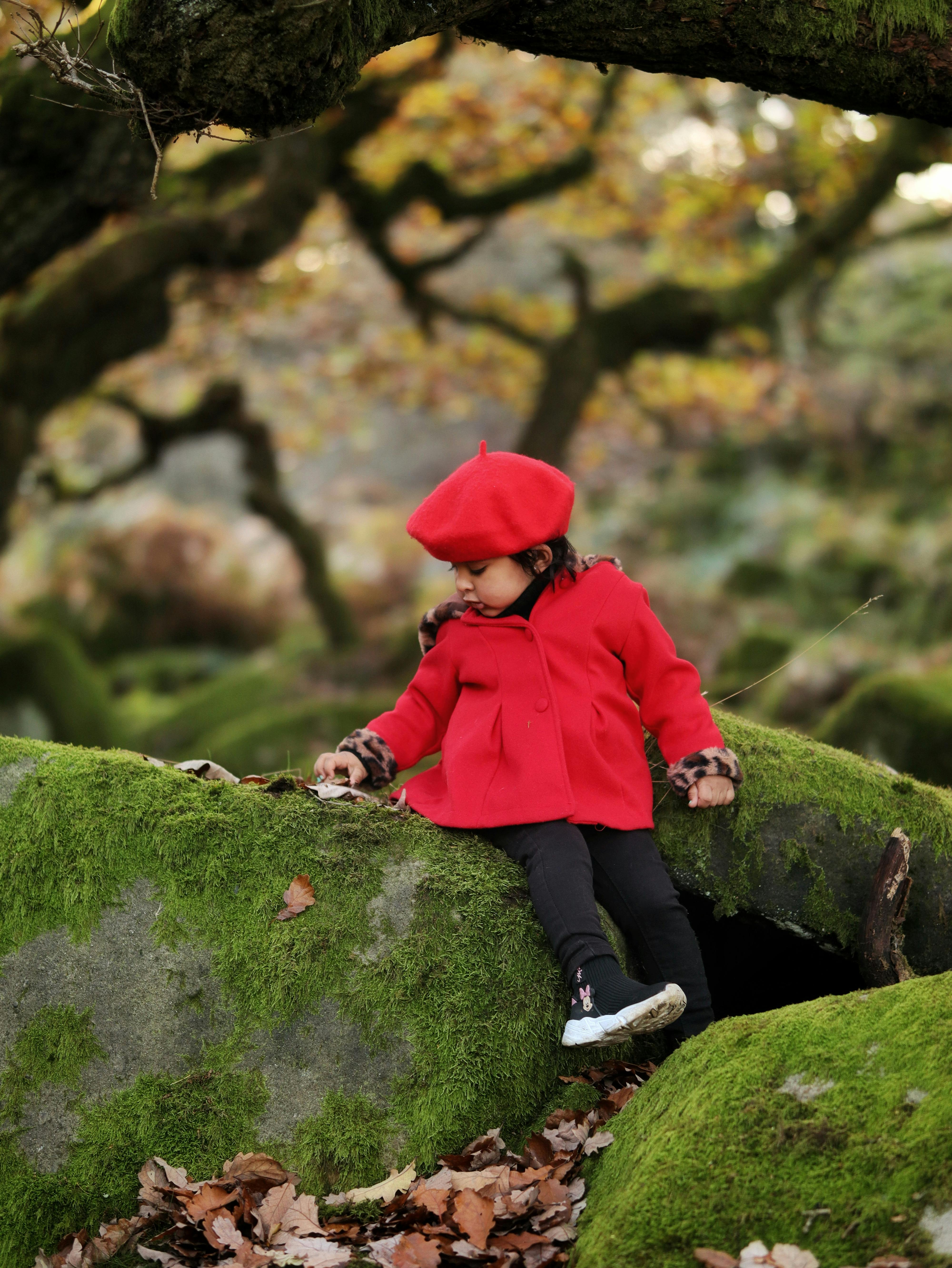 Little Girl in Red Exploring Autumn Forest