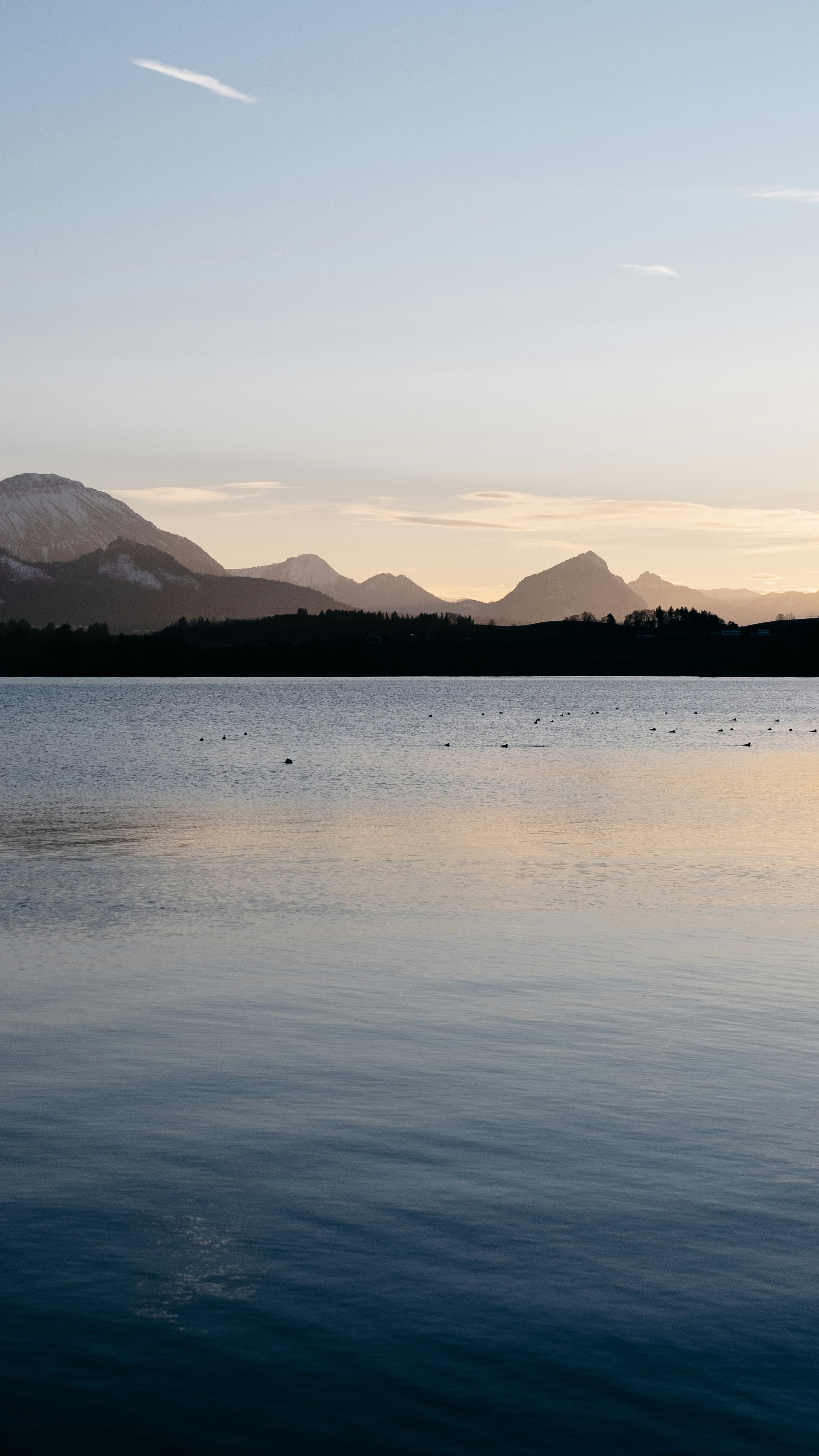 Landscapes