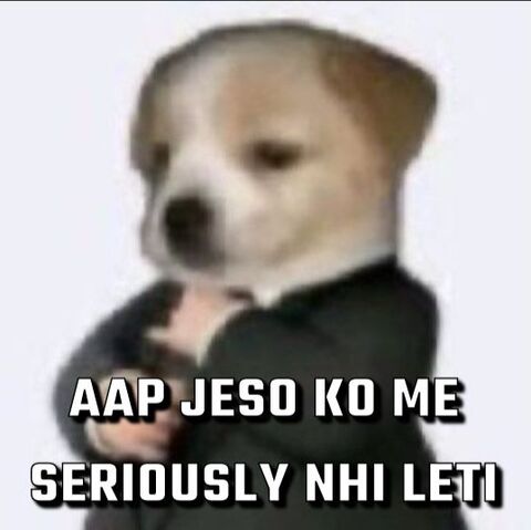 Suit Dog Hindi Meme