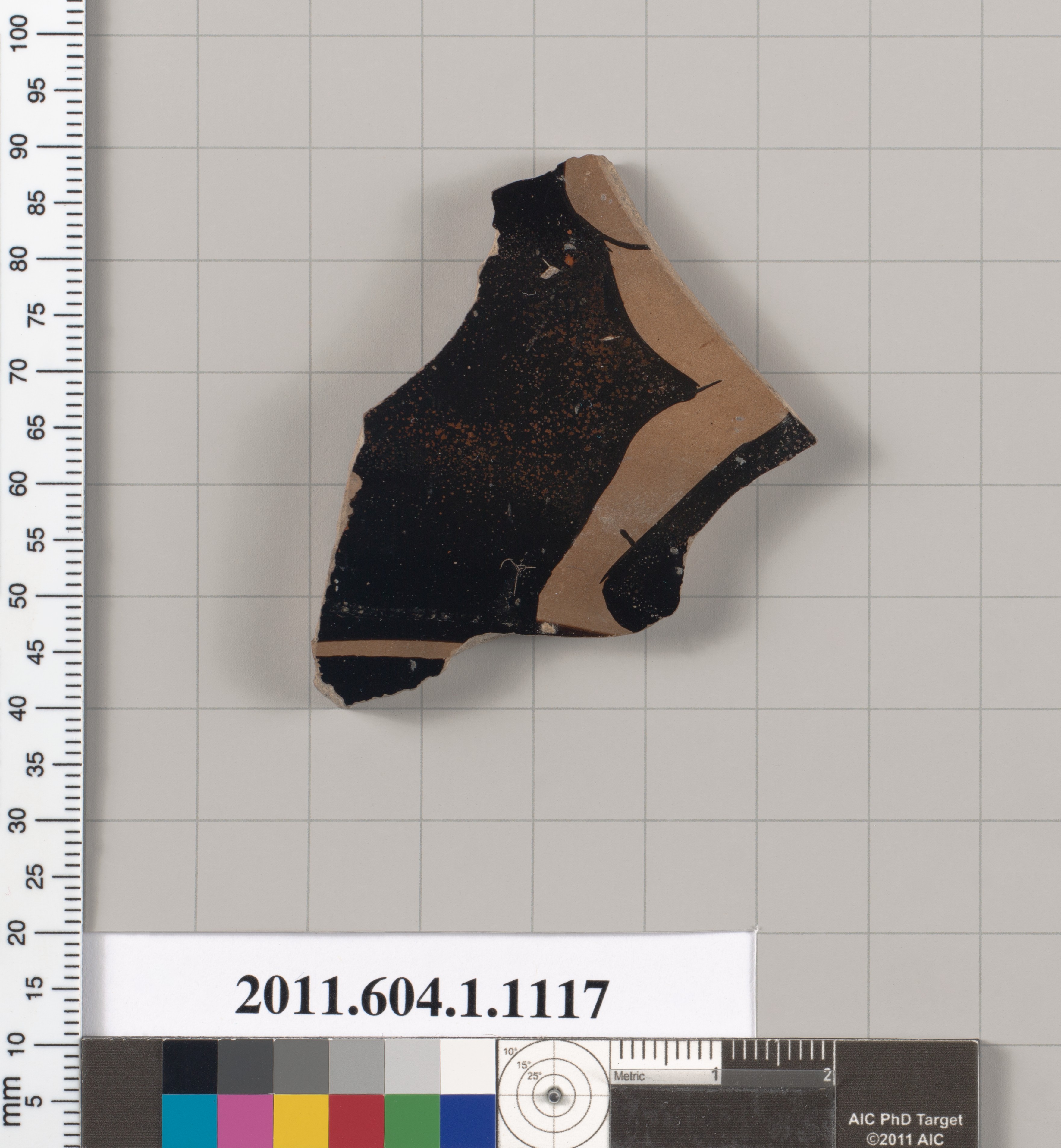 Ancient Ceramic Fragment Shard
