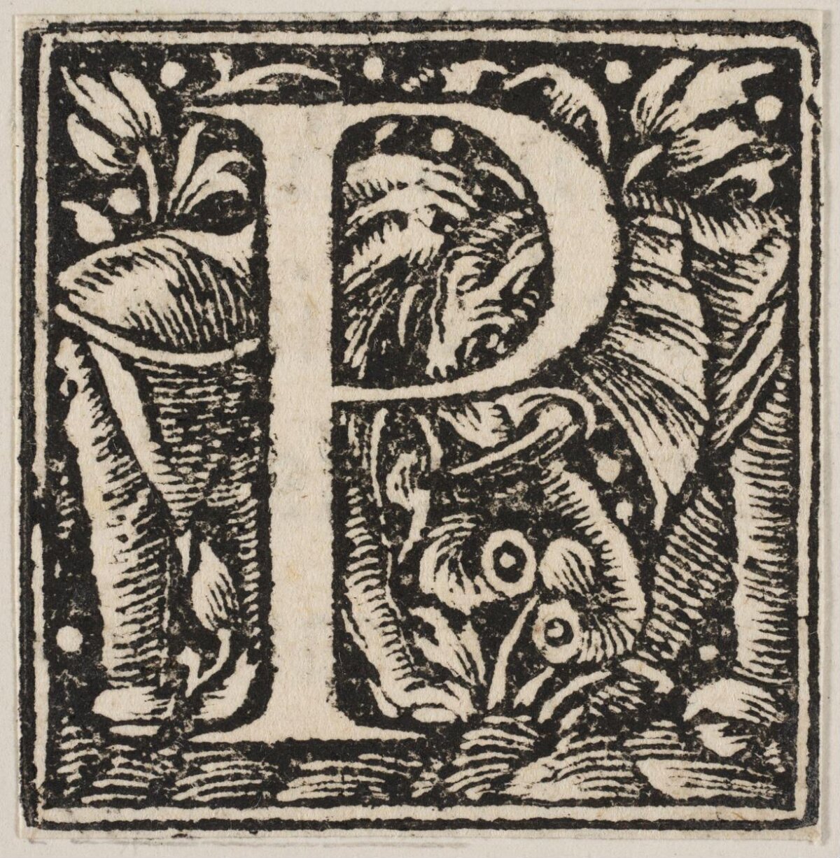Decorated Woodcut Initial Letter H