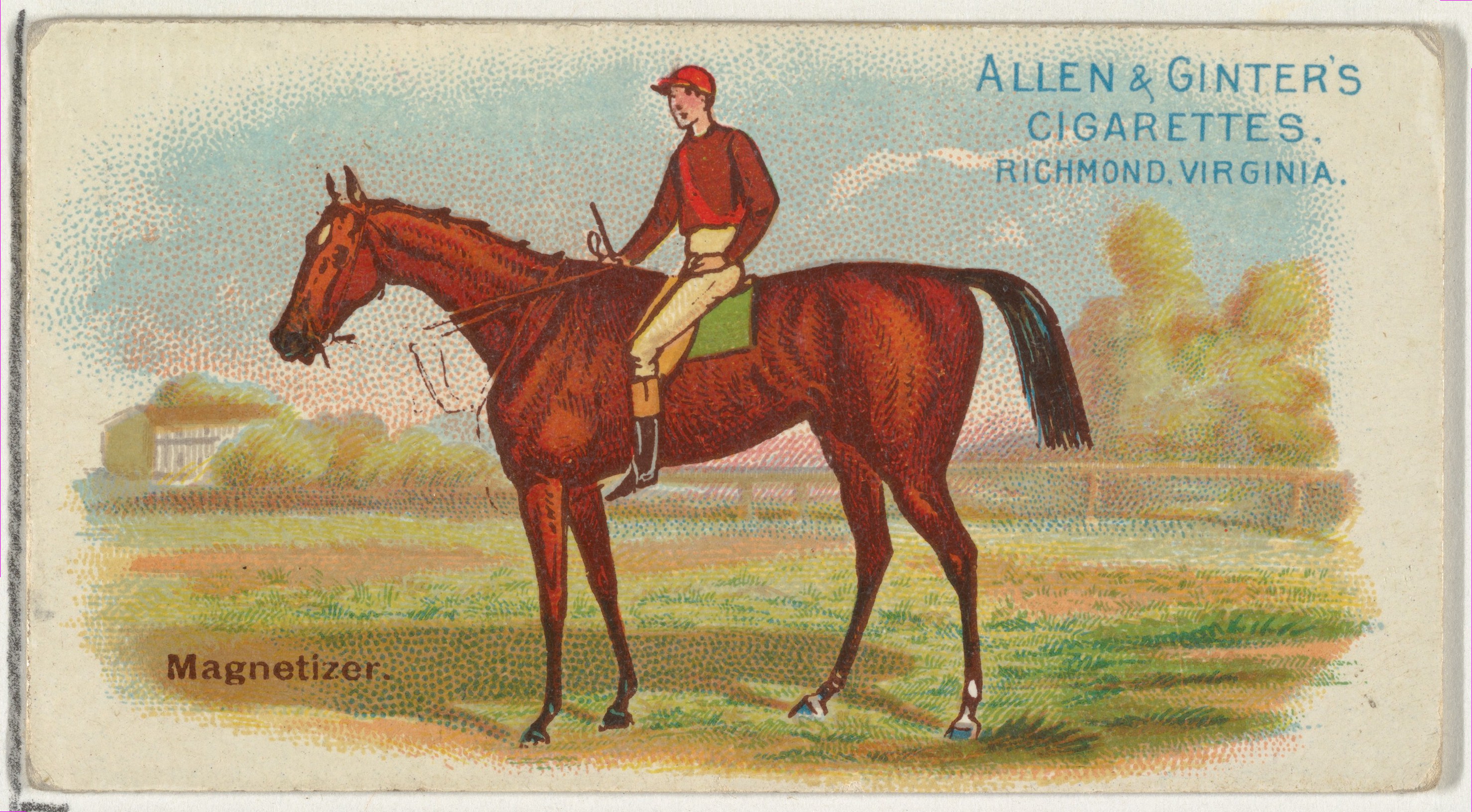 Racehorse Magnetizer Vintage Cigarette Card