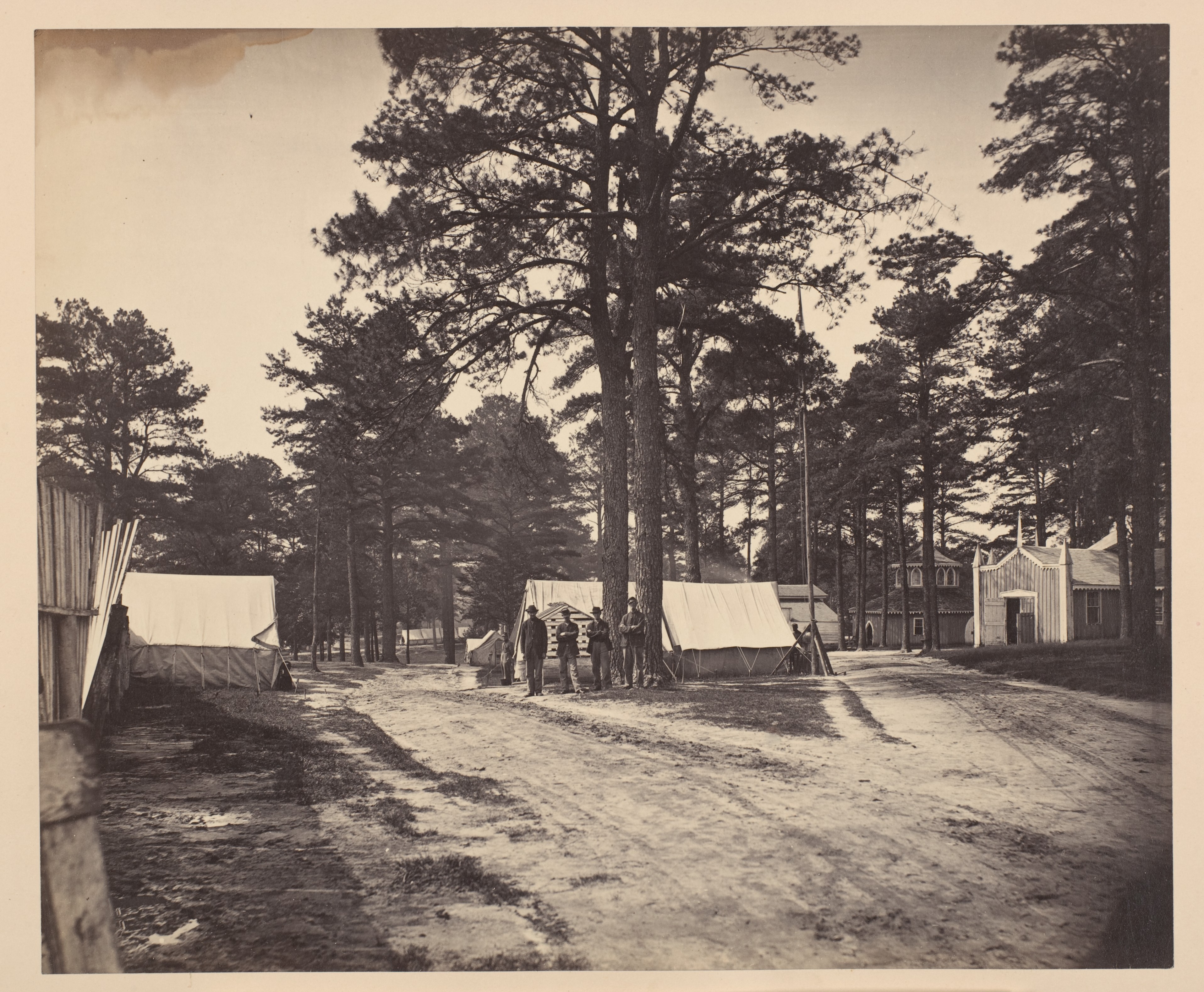 Vintage Military Camp In Pine Forest